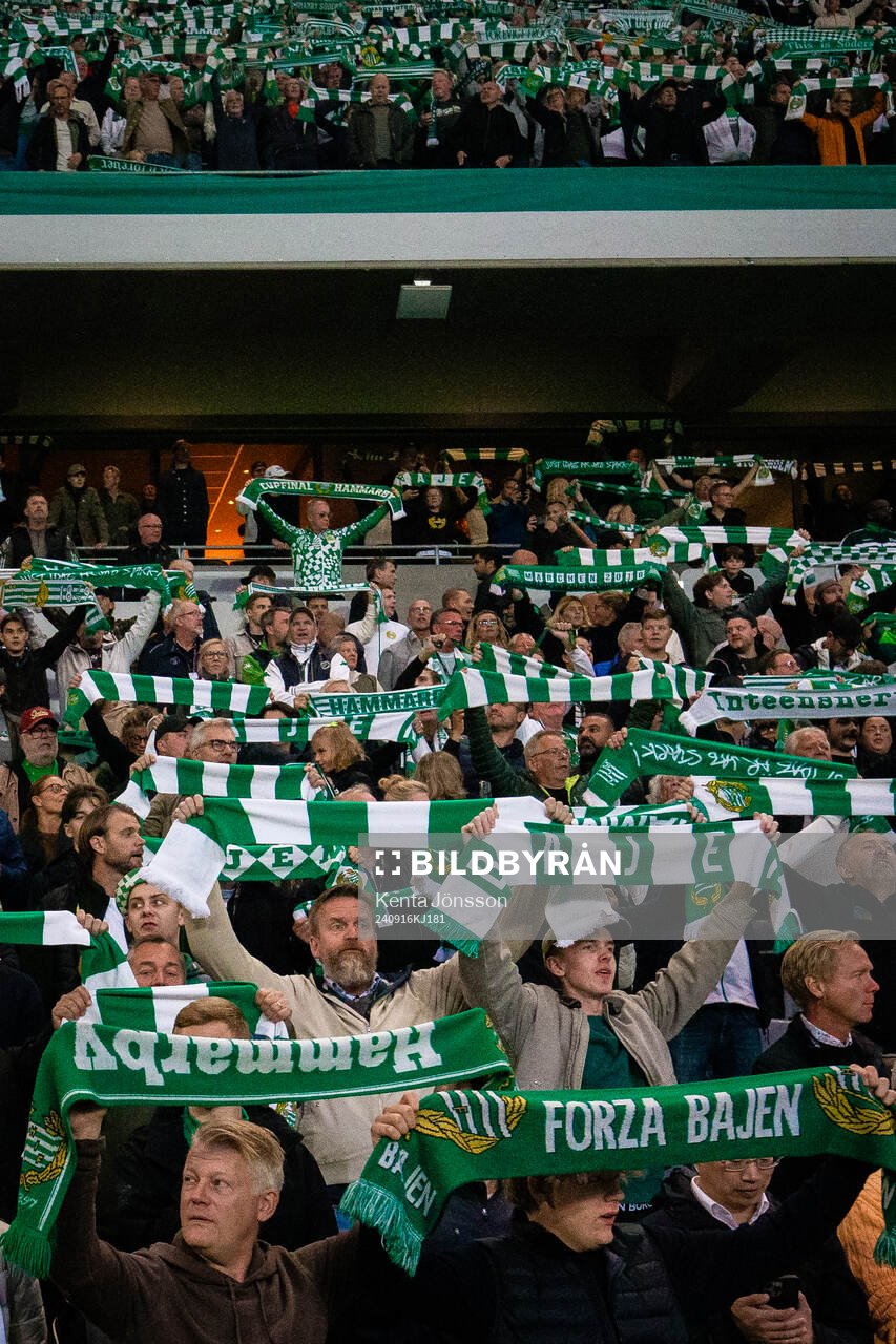 Hammarbys supportrar