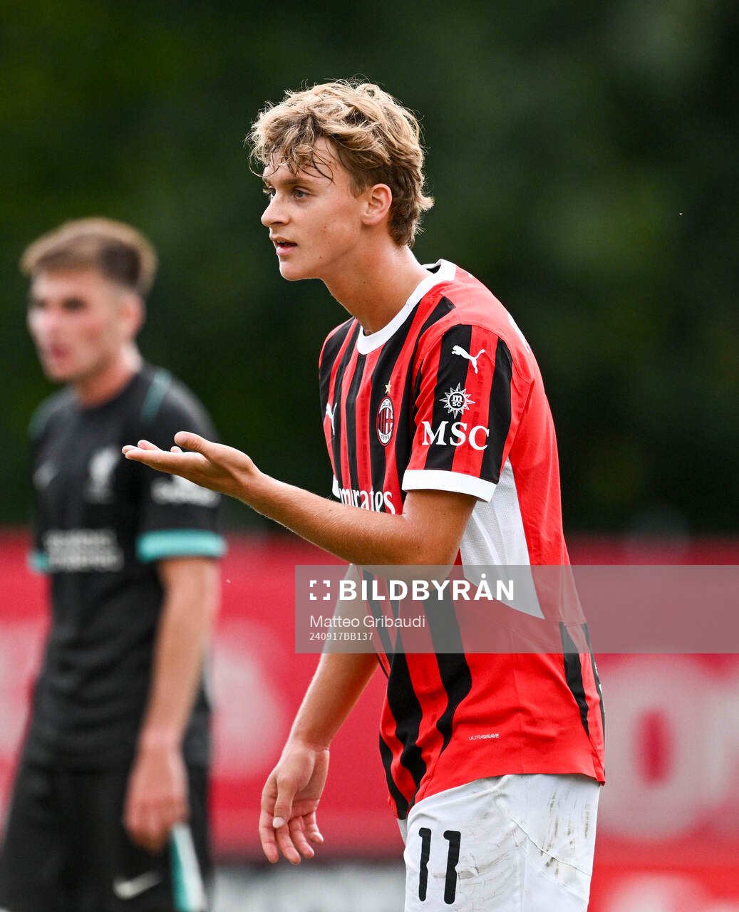 Milans Maximilian Ibrahimovic