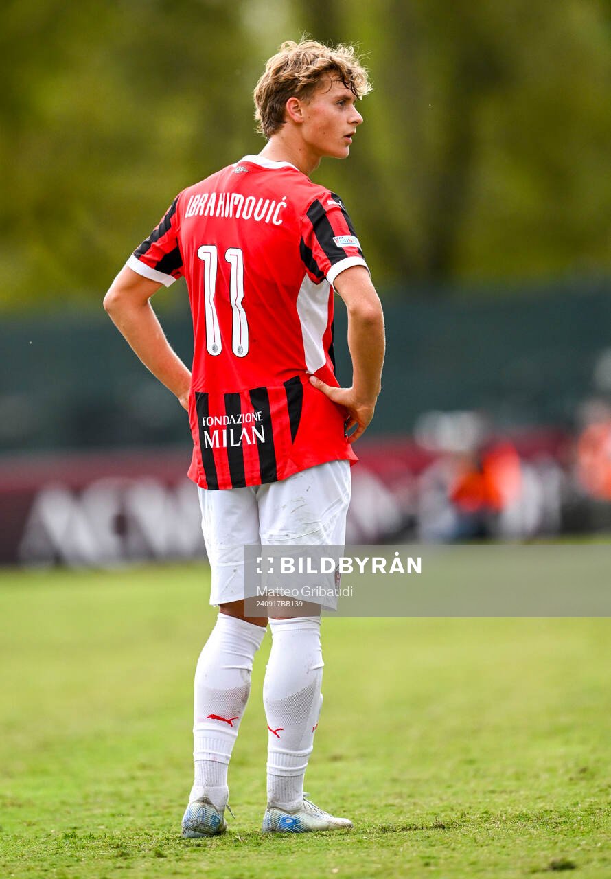Milans Maximilian Ibrahimovic