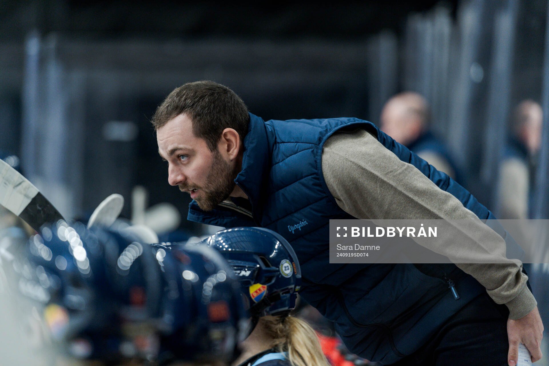 Djurgårdens assisterande tränare Jared Cipparone