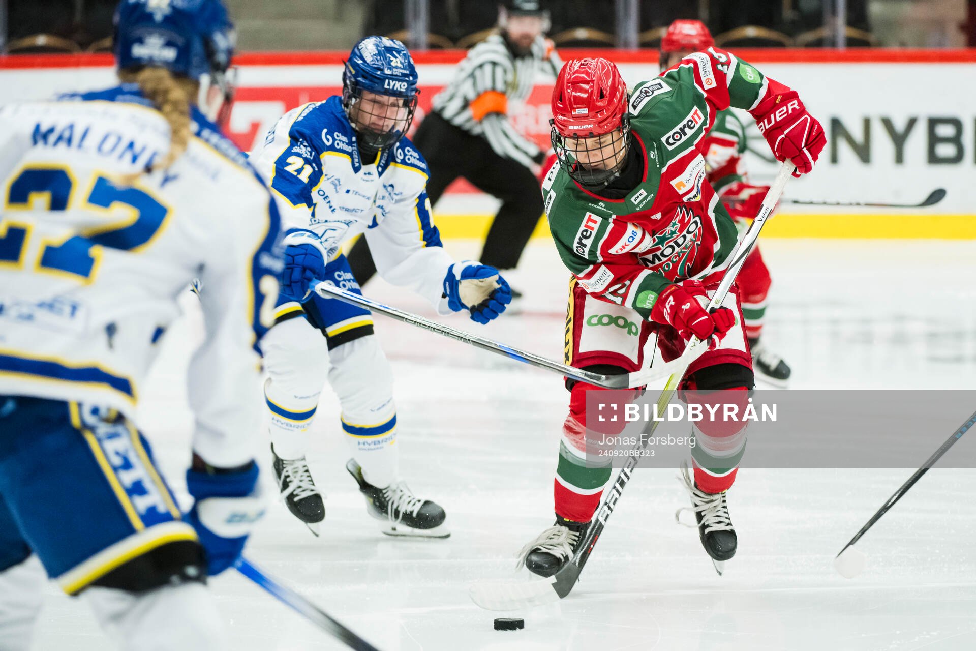 Modos Linnéa Andersson