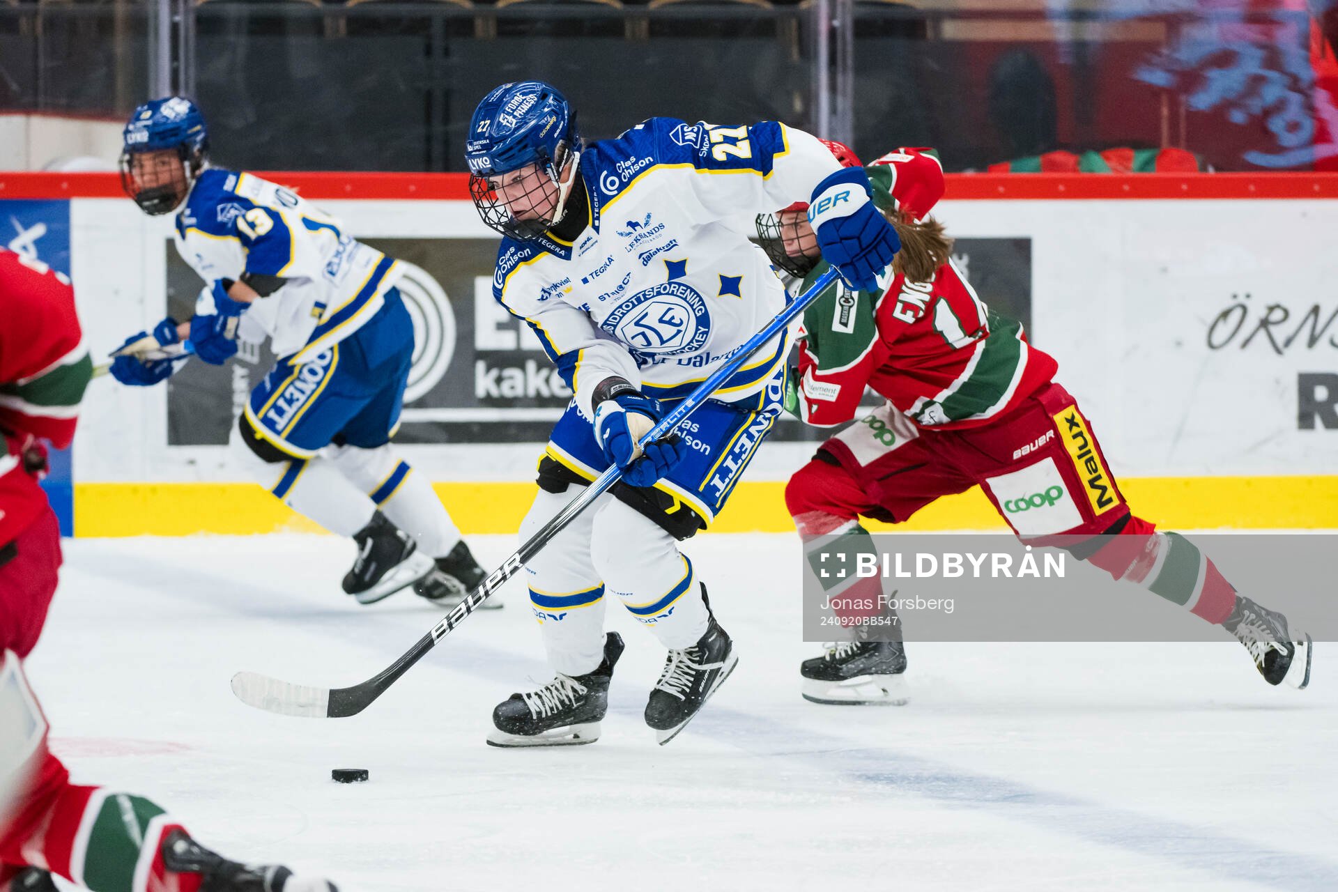 Leksands Shay Maloney