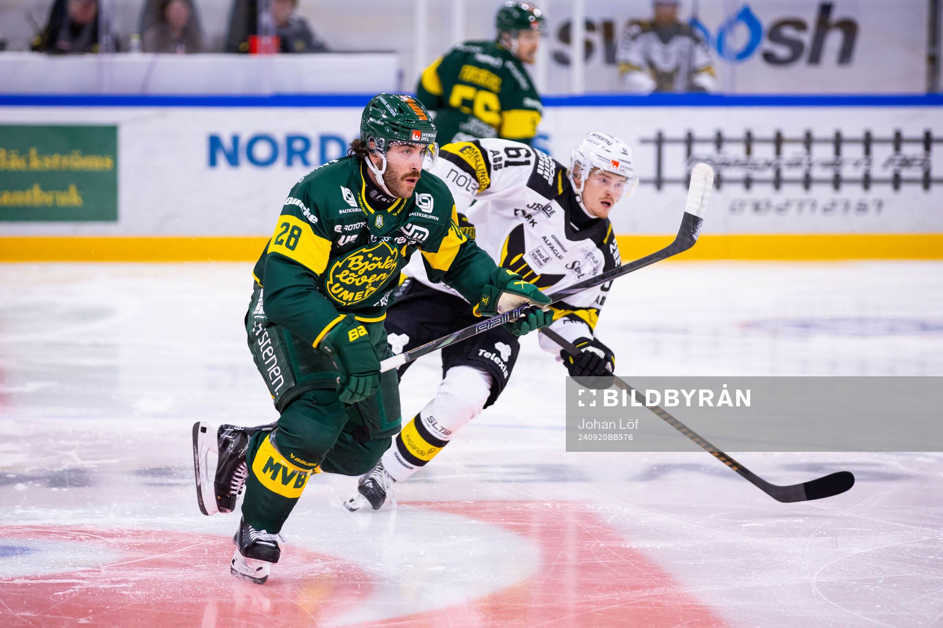 Björklövens Mathew Maione