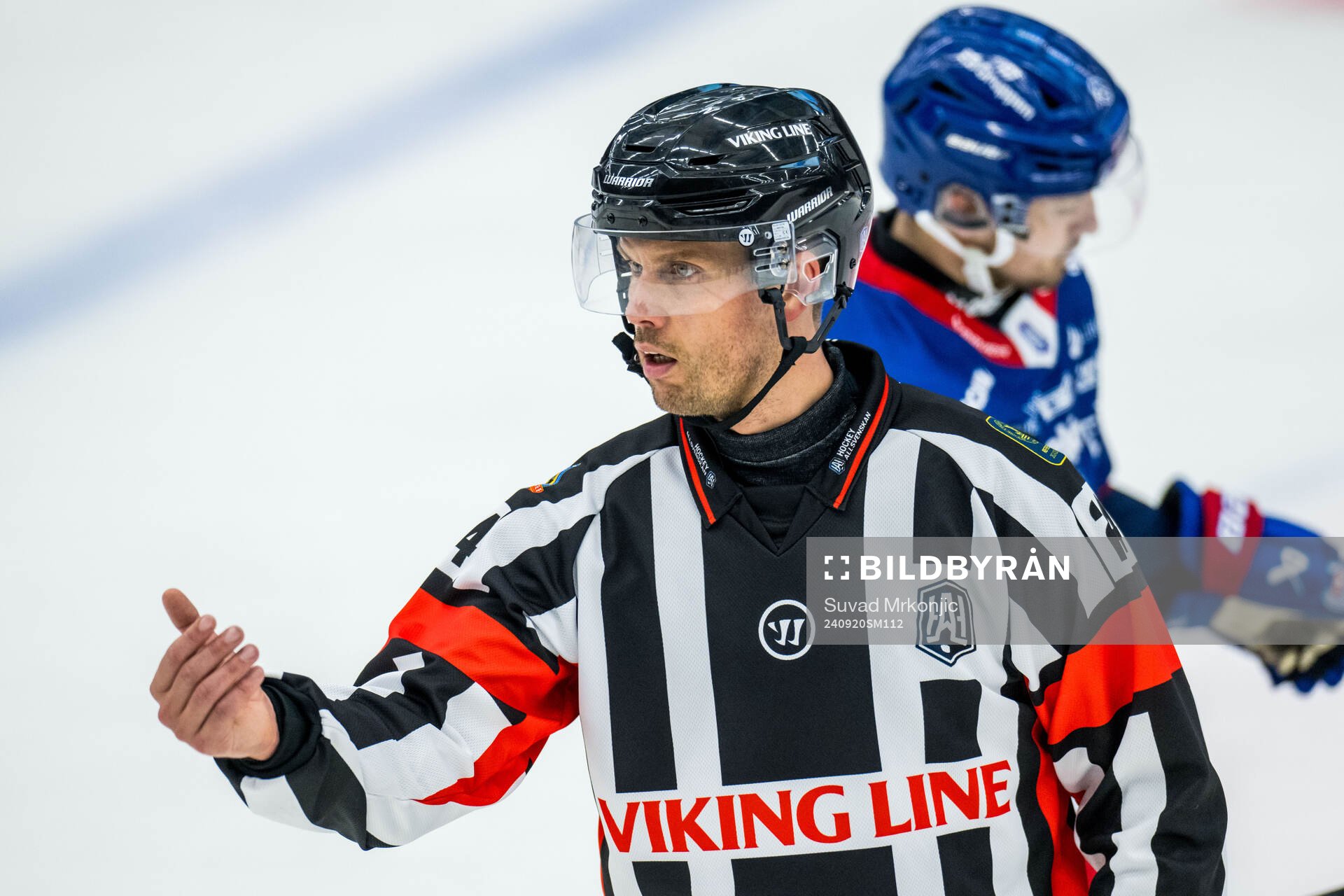 Domare Johan Magnusson