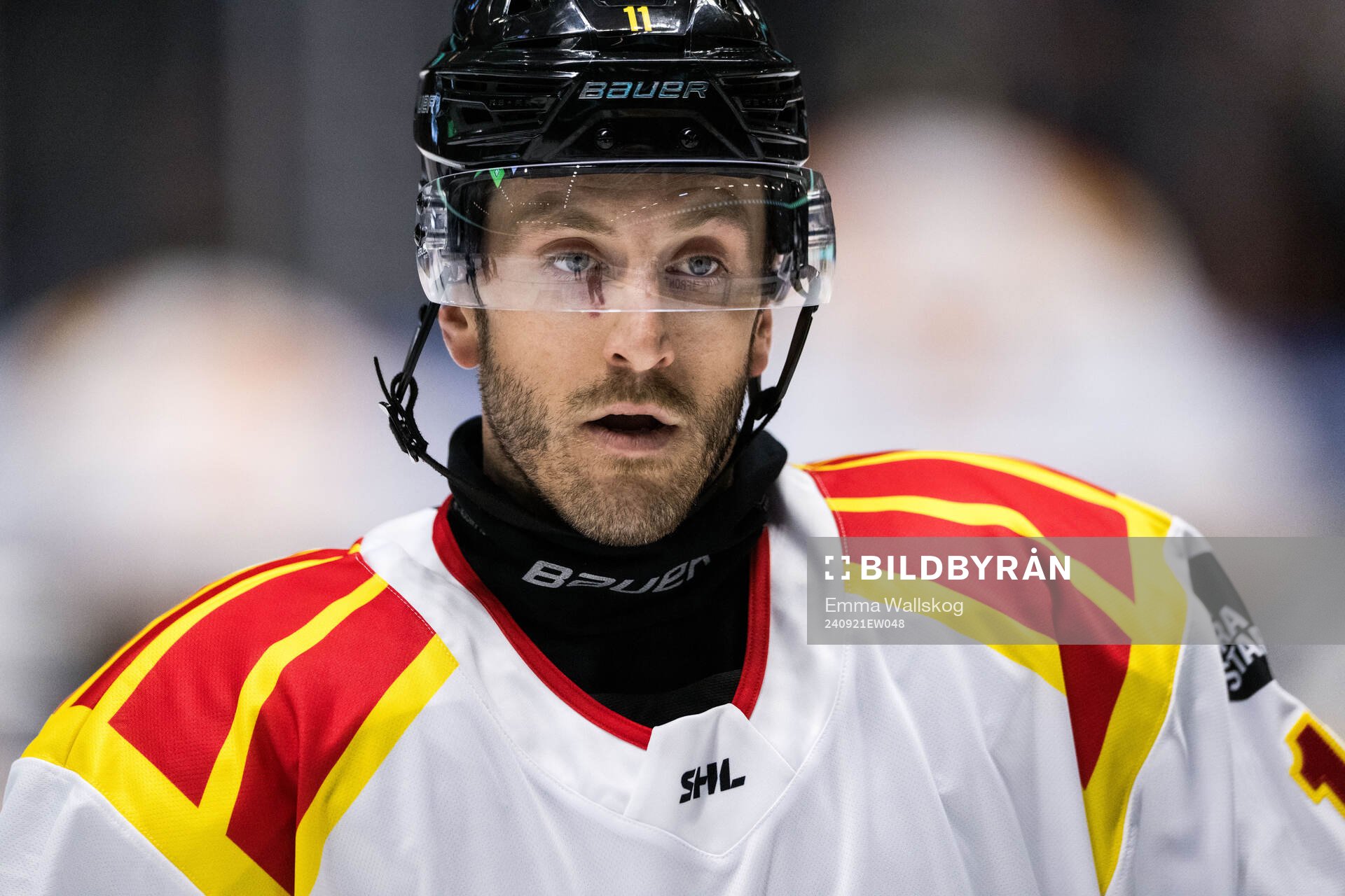 Brynäs Jordan Schroeder