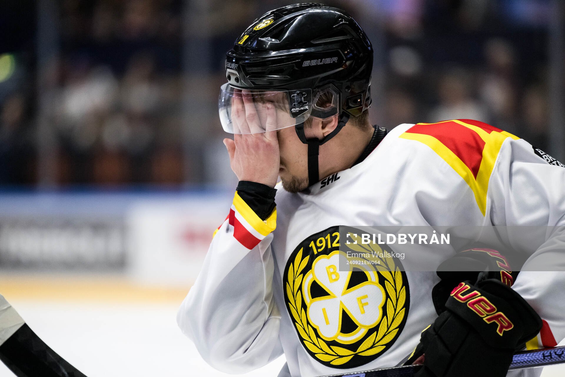 Brynäs Tyler Vesel