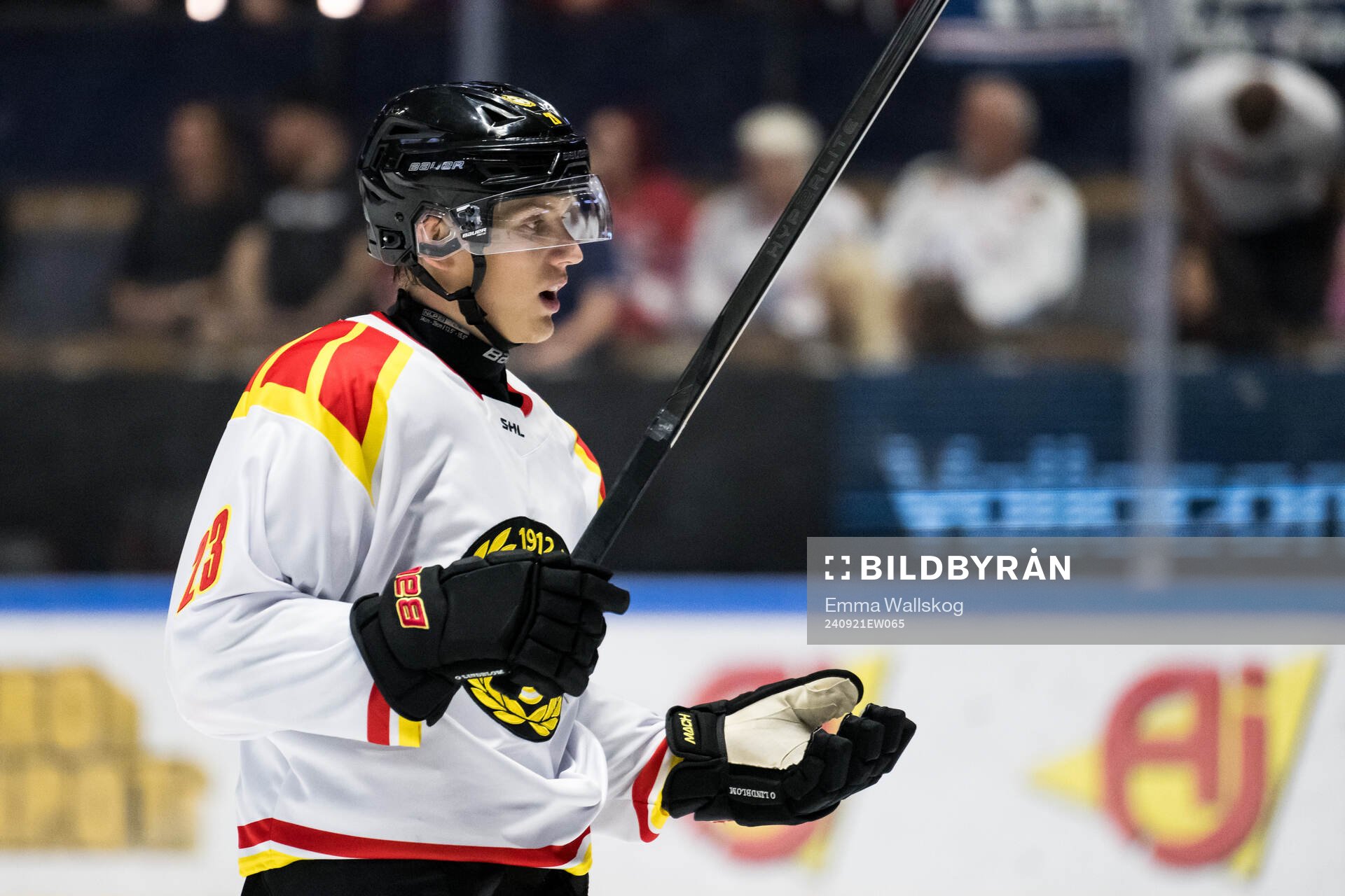 Brynäs Oskar Lindblom