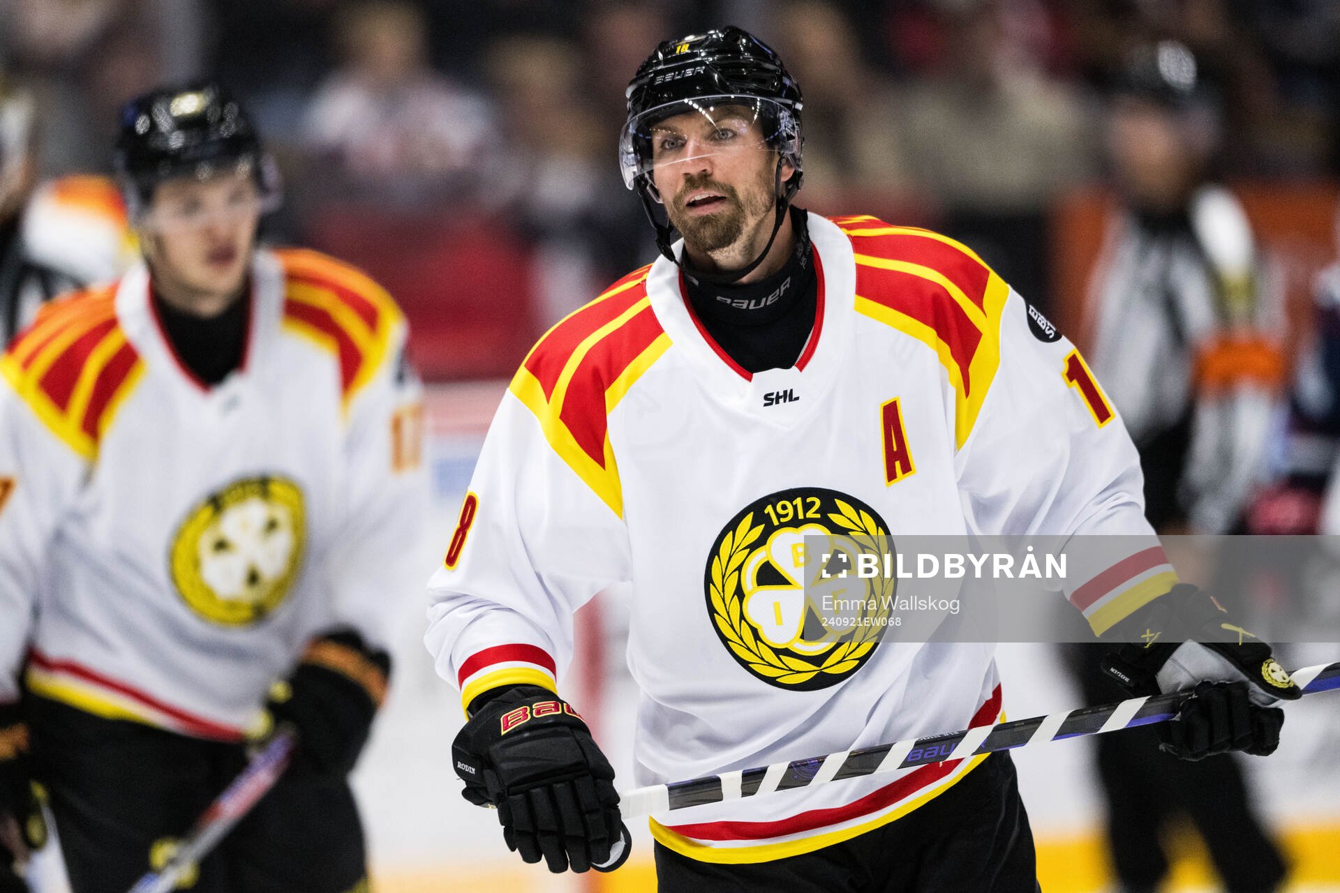 Brynäs Anton Rödin