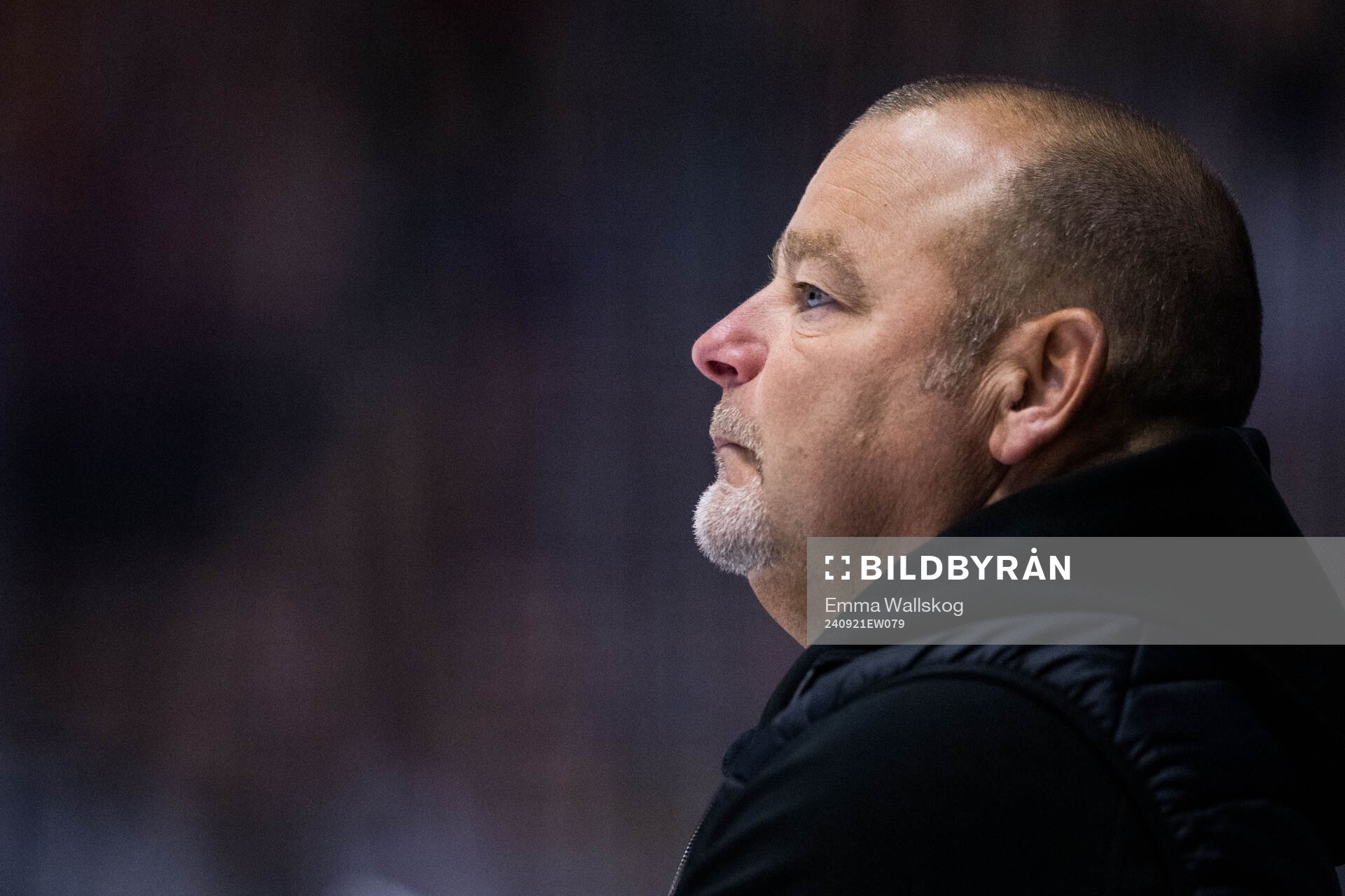 Brynäs tränare Niklas Gällstedt