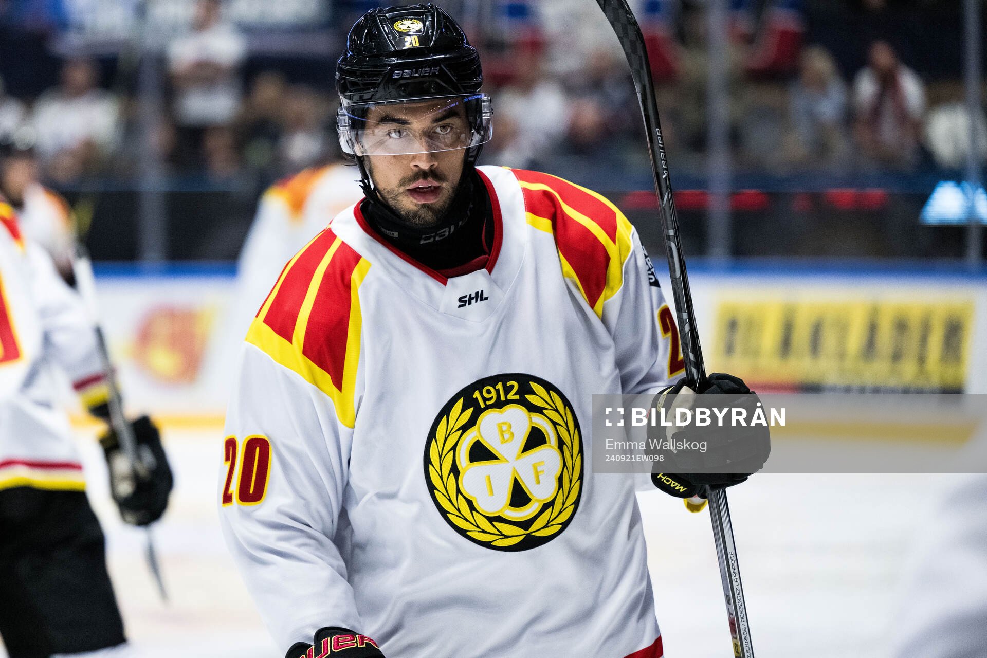 Brynäs Tyler Vesel