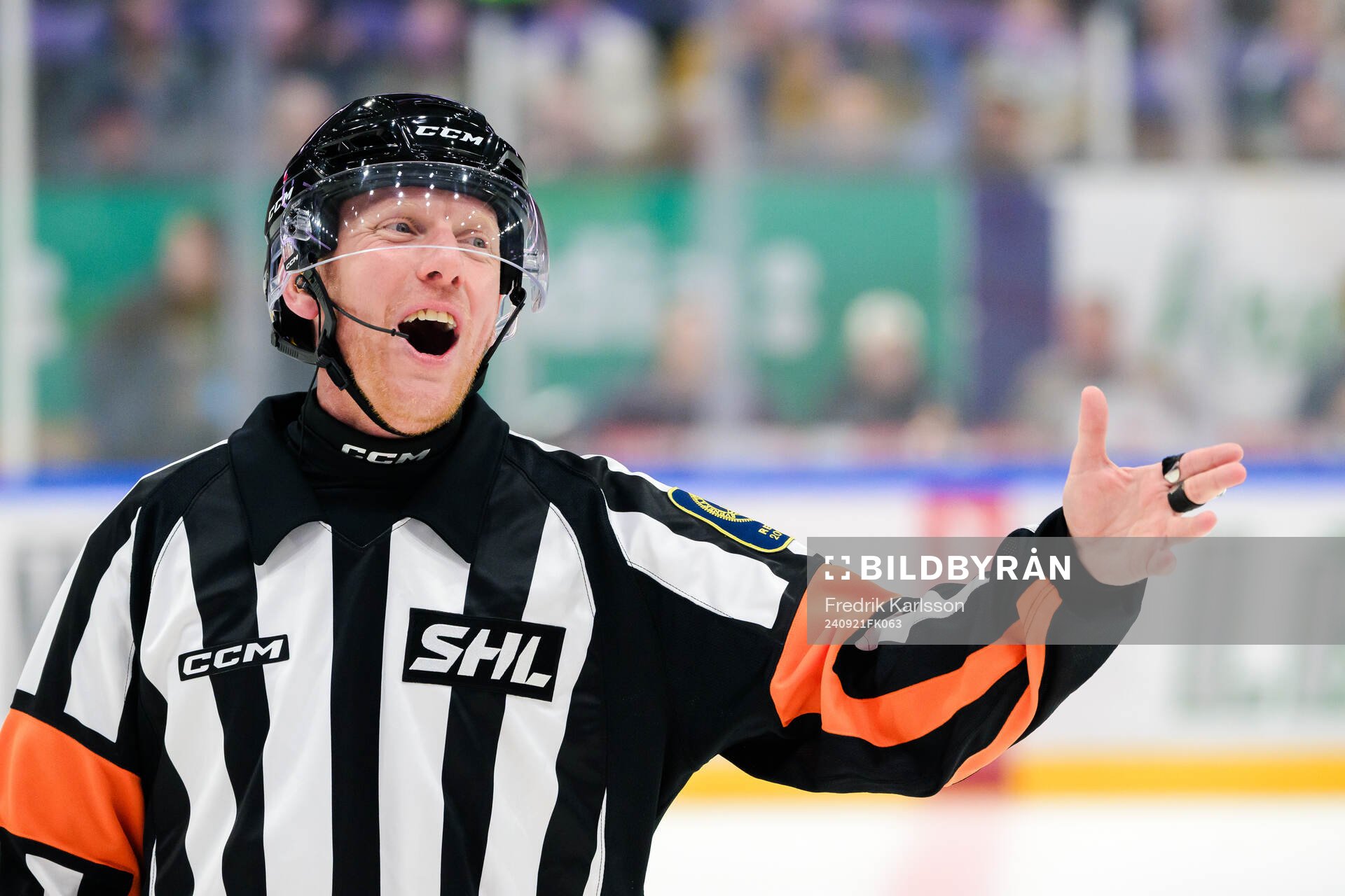 Domare Mikael Holm
