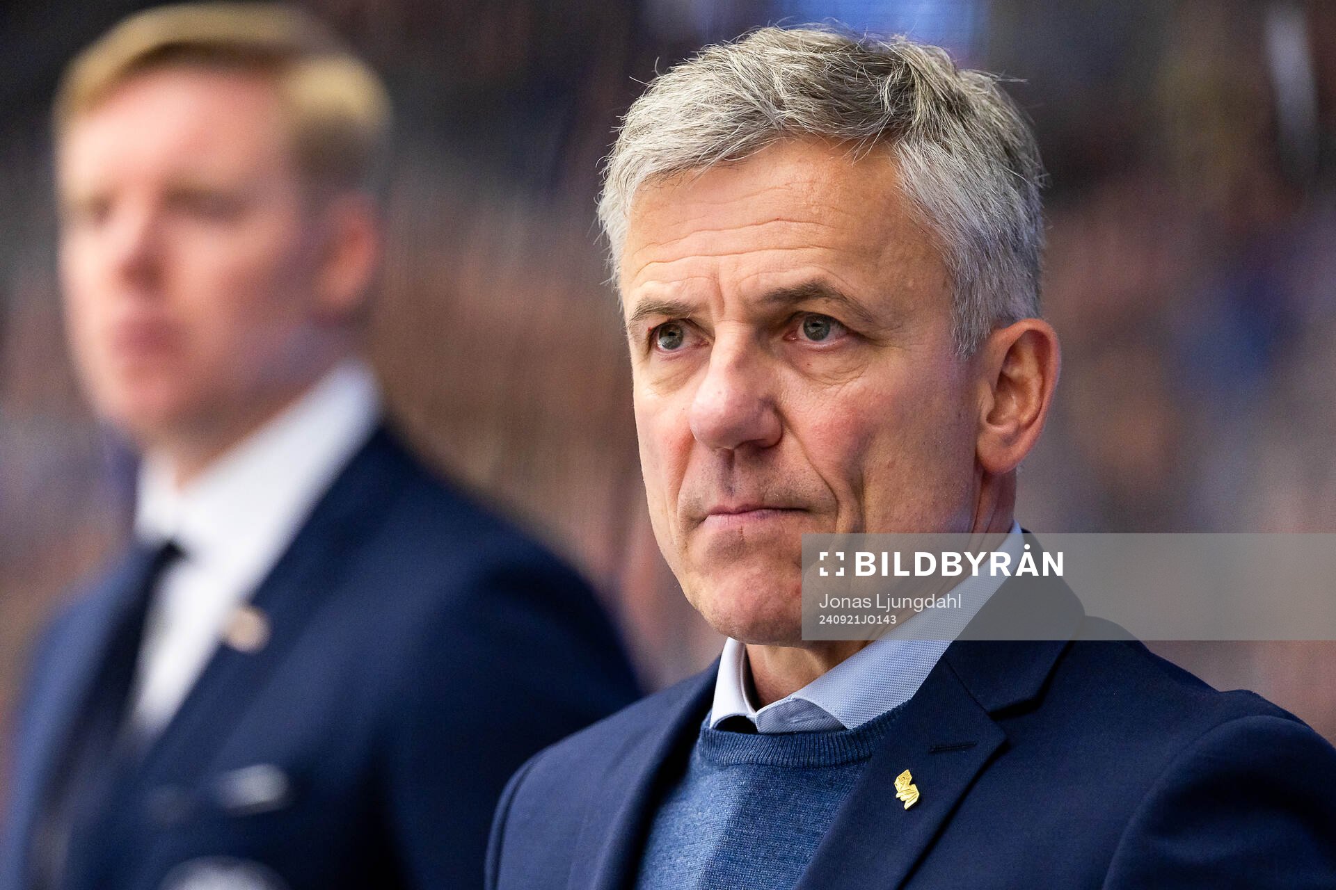 HV71s assisterande tränare Fredrik Stillman