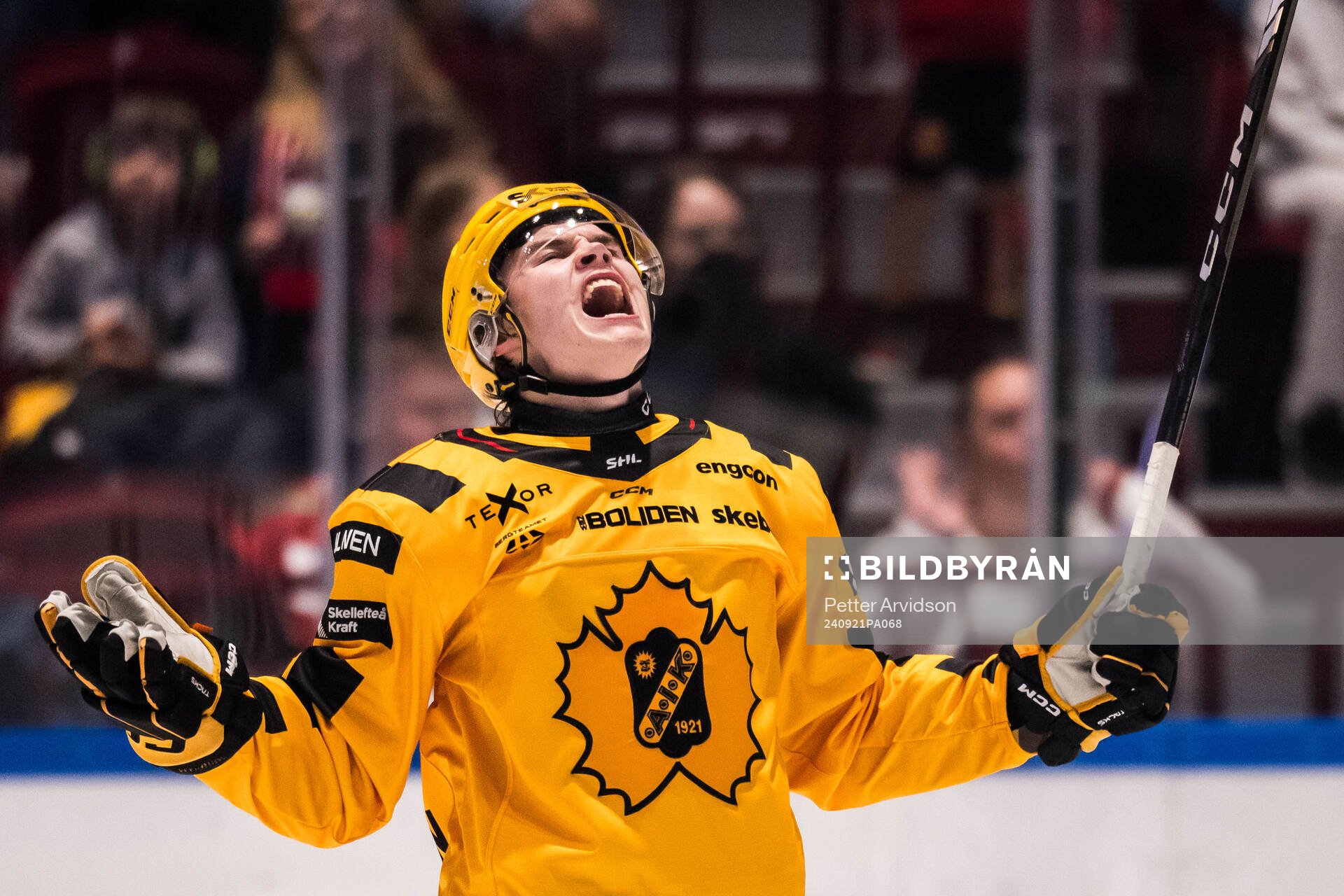 Skellefteås Axel Sandin Pellikka jublar