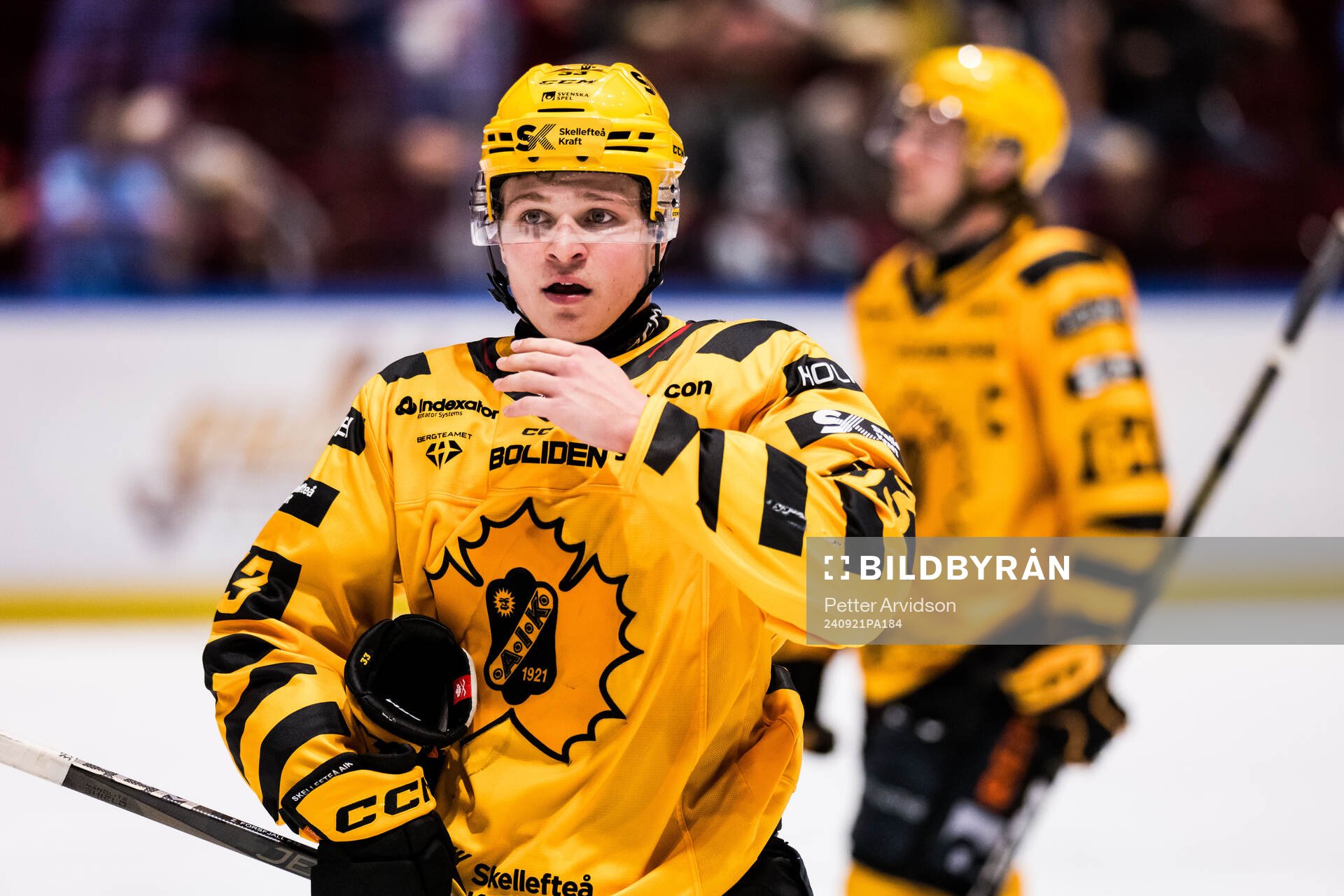 Skellefteås Zeb Forsfjäll