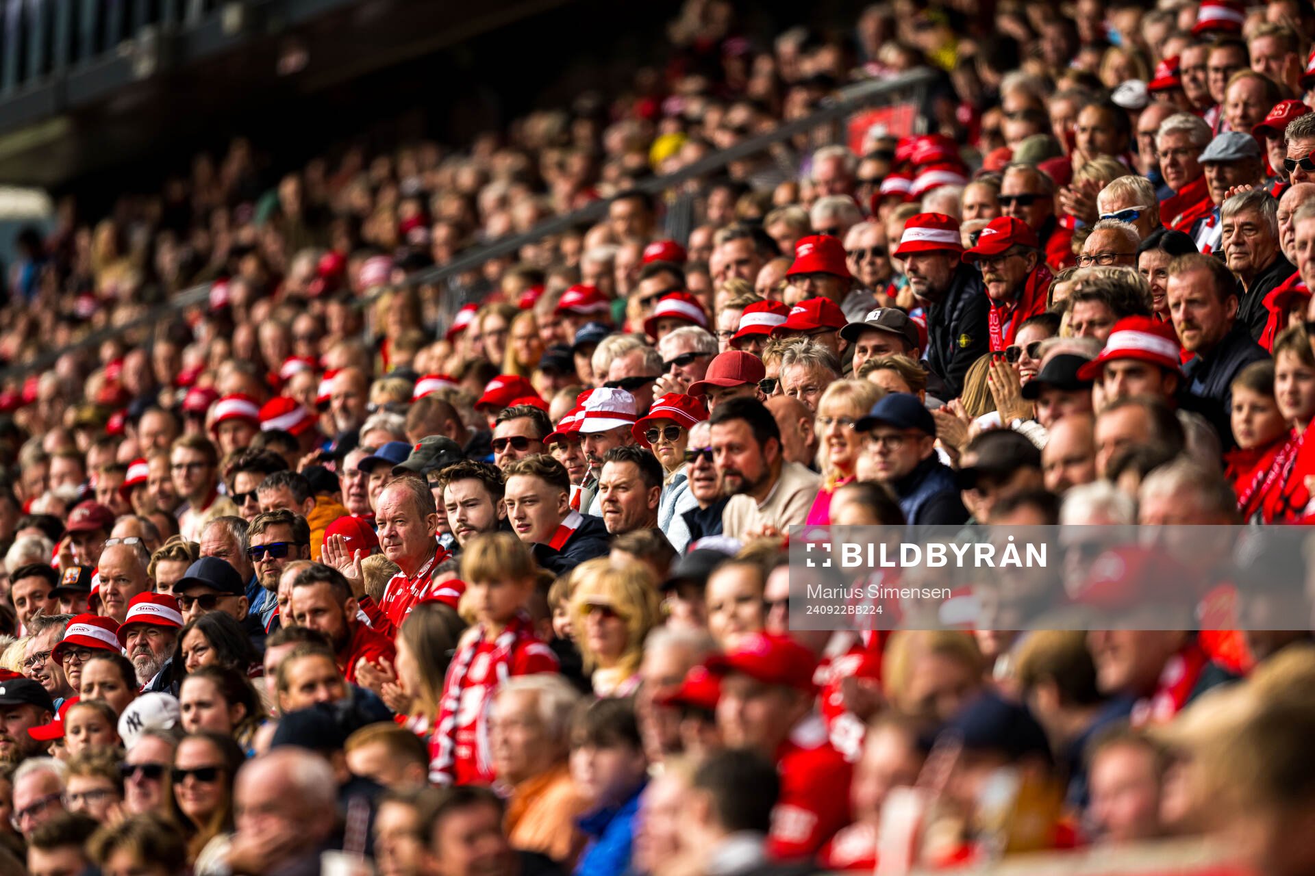 Spectators in the stands