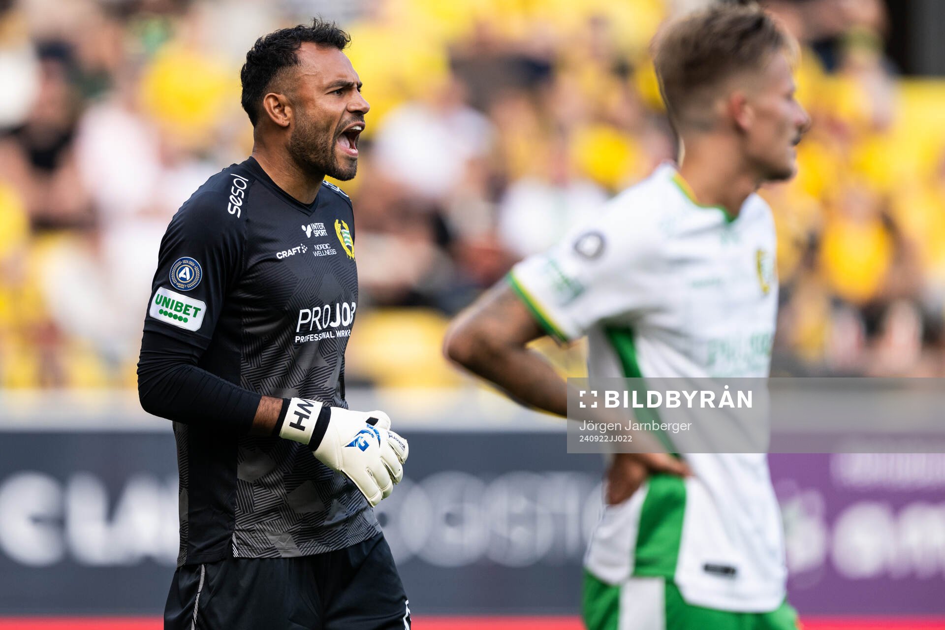 Hammarbys målvakt Warner Hahn
