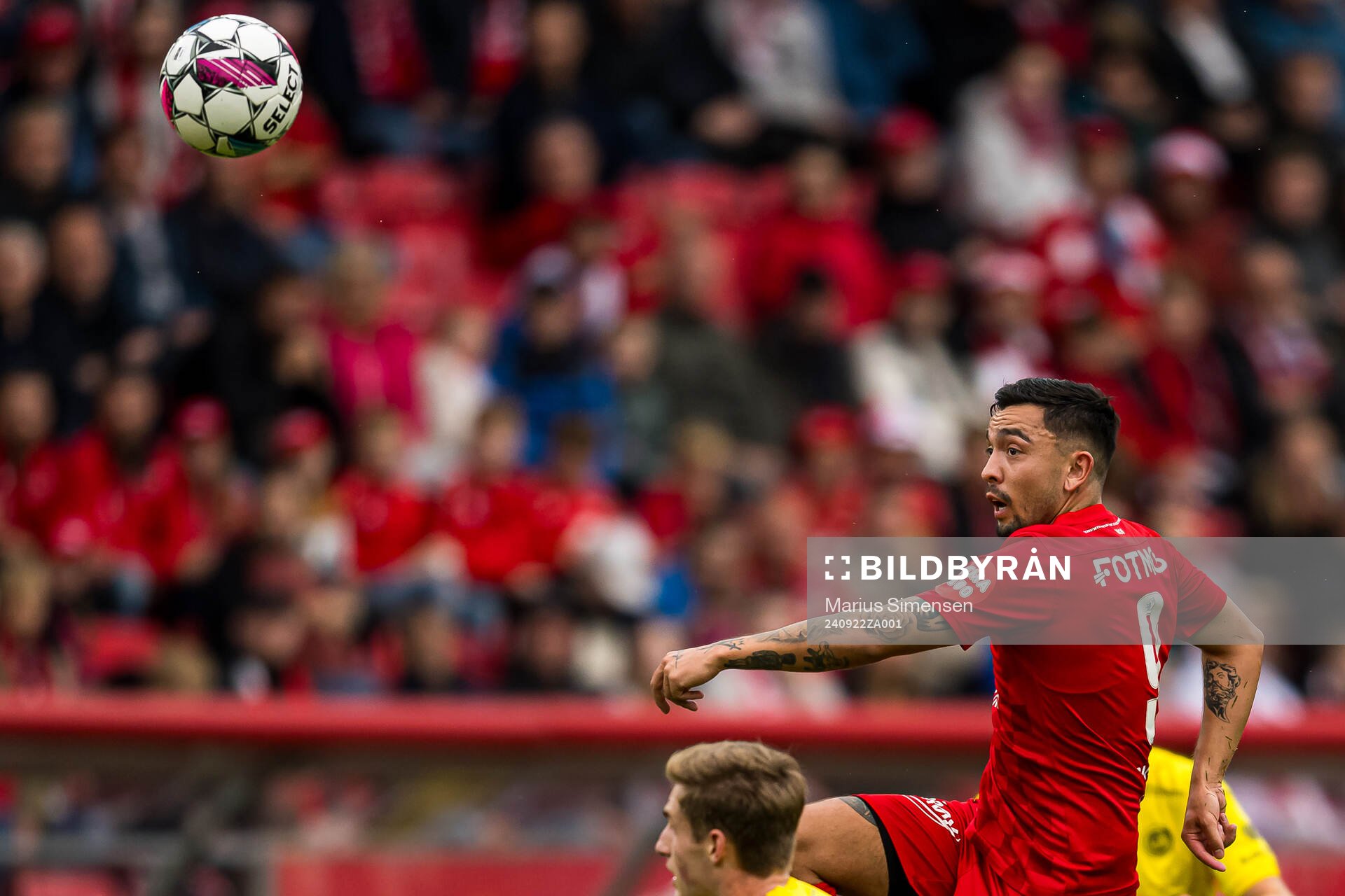 Niklas Fernando Castro of Brann