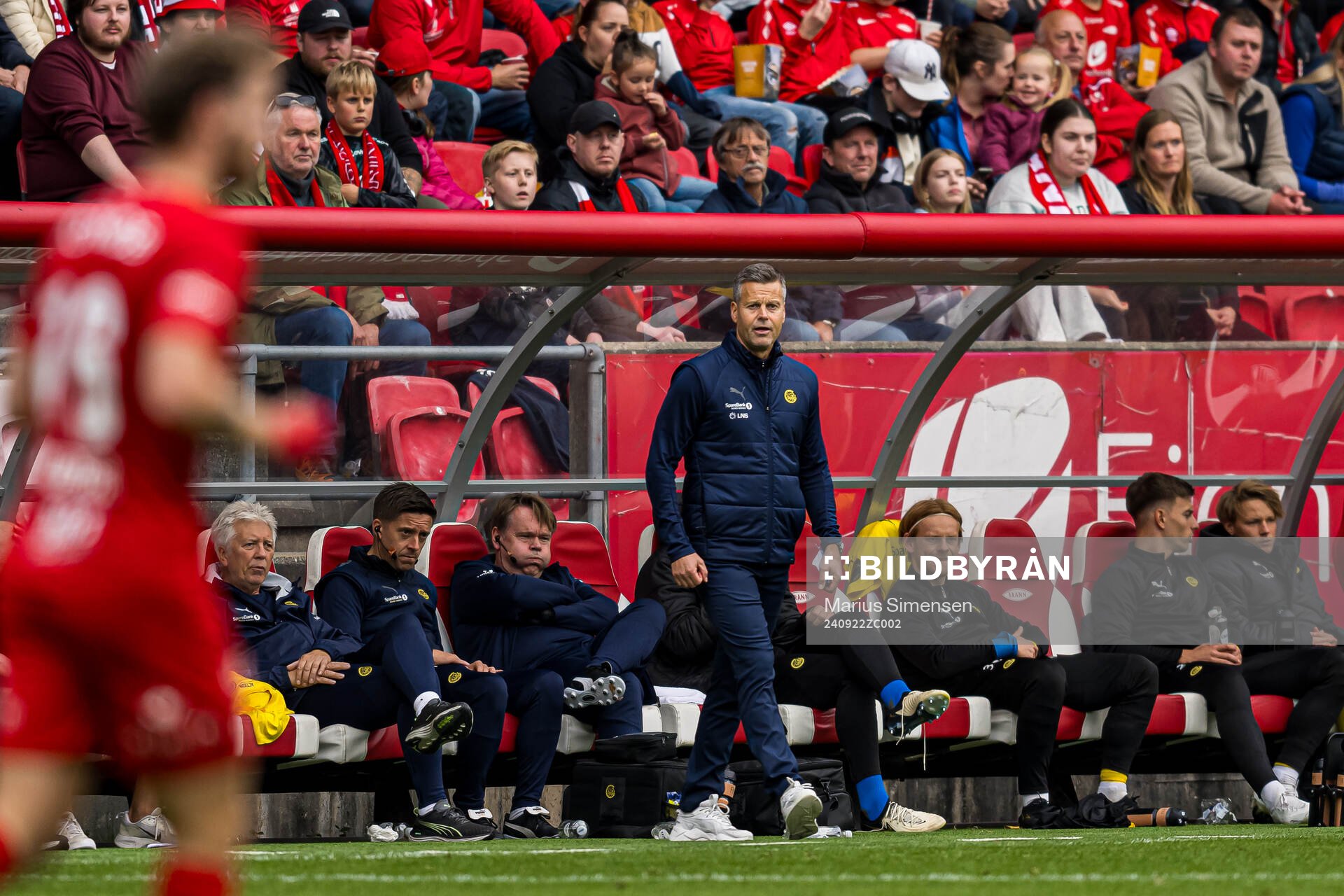 Kjetil Knutsen, head coach of Bodø/Glimt