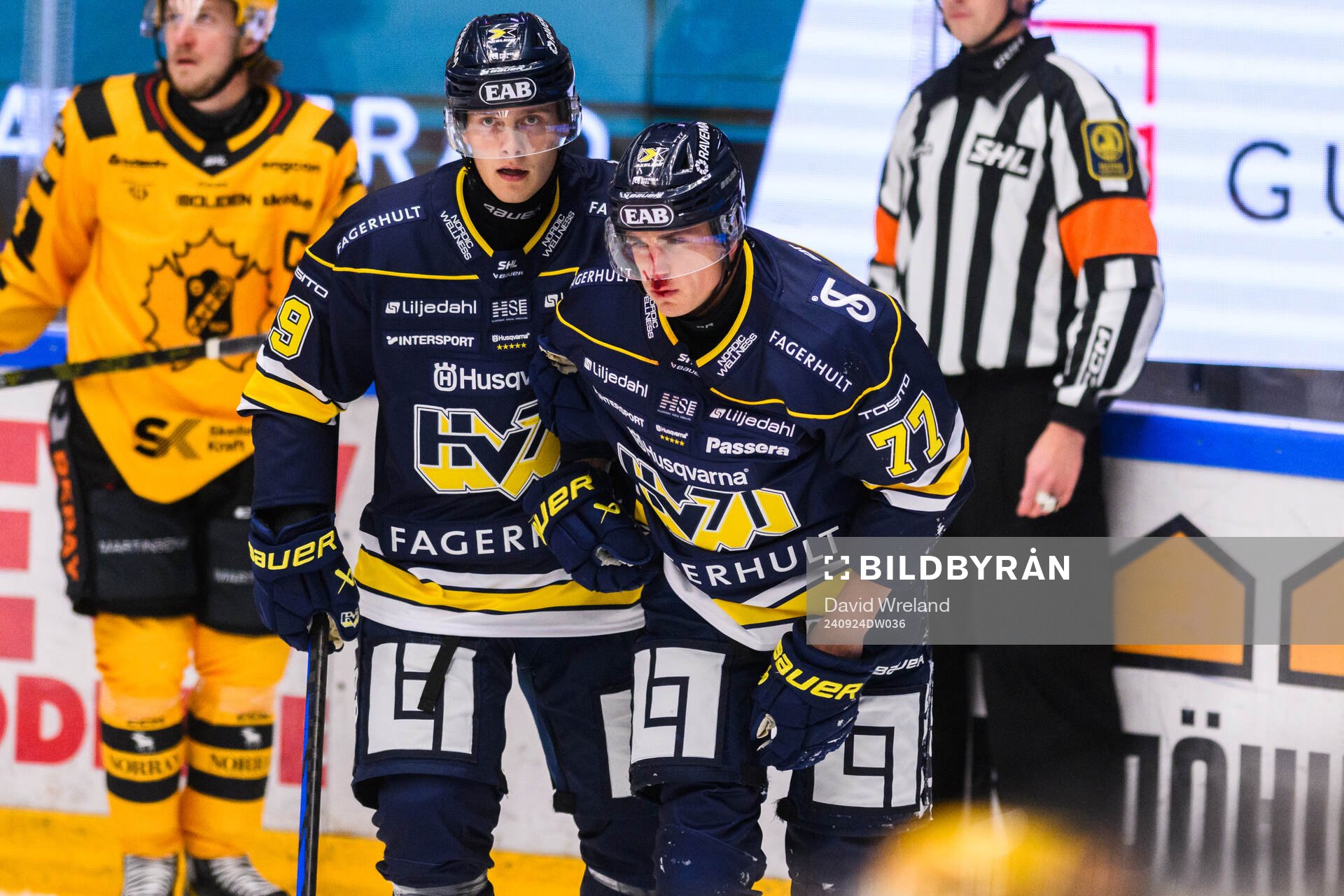 HV71s Herman Hansson har ont
