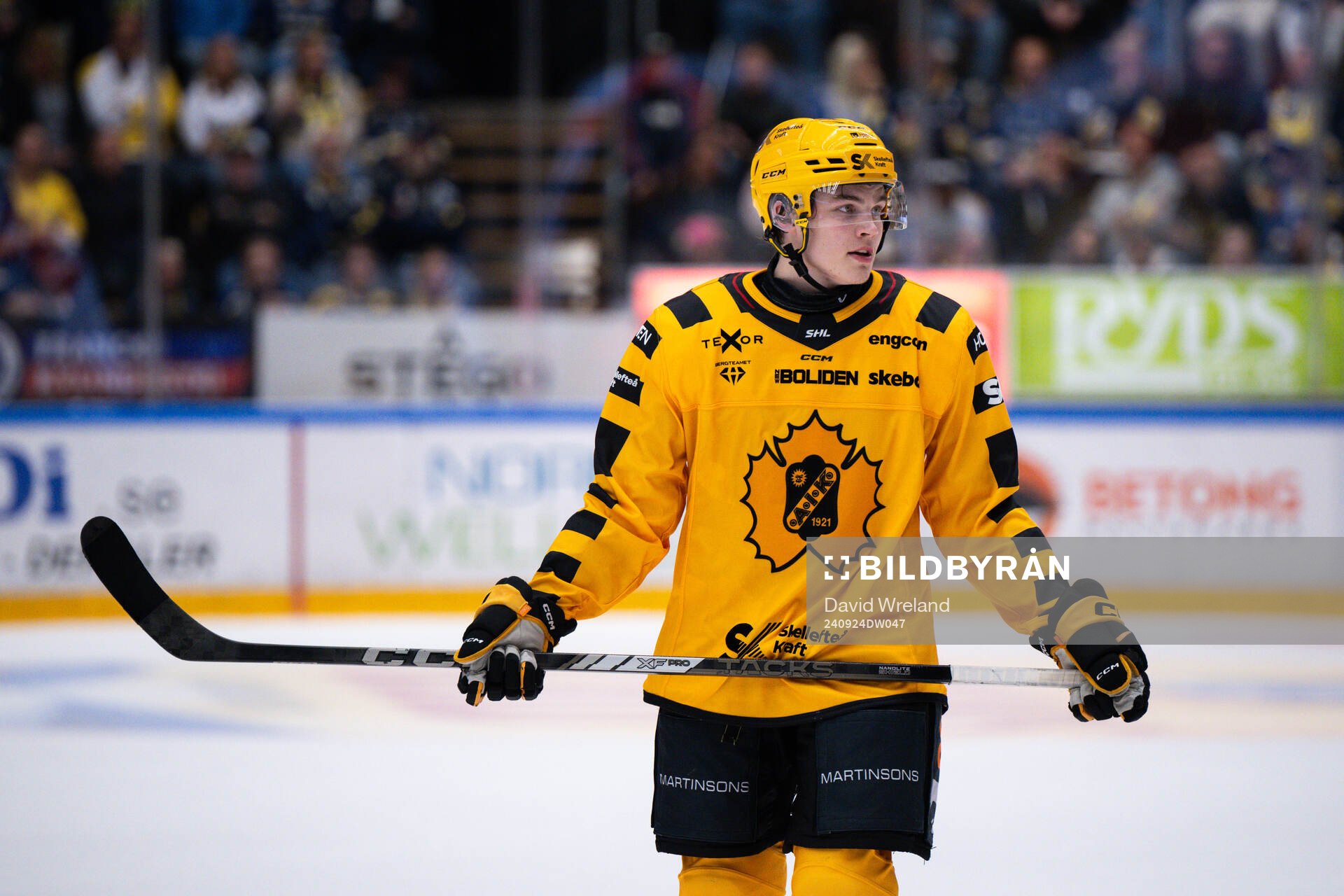 Skellefteås Axel Sandin Pellikka jublar