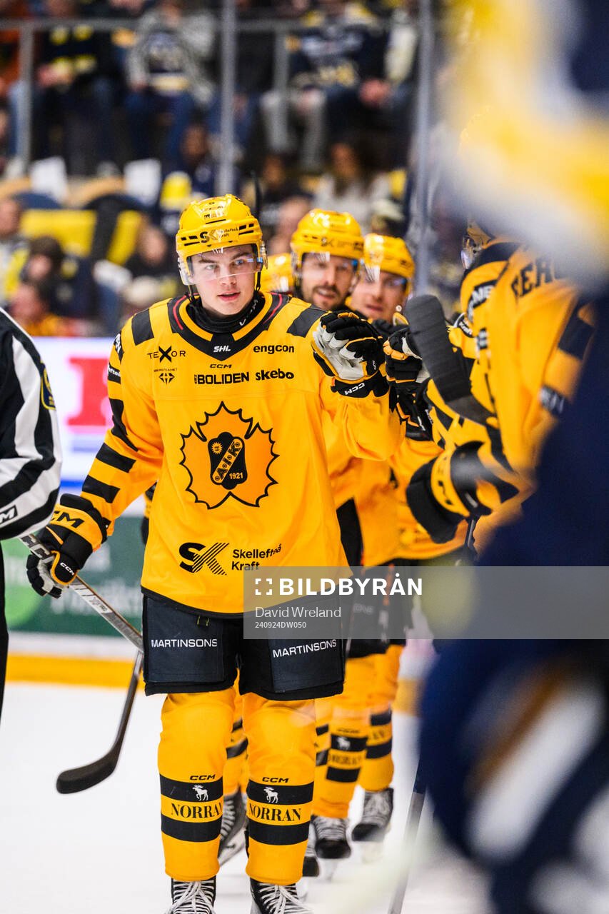 Skellefteås Axel Sandin Pellikka jublar