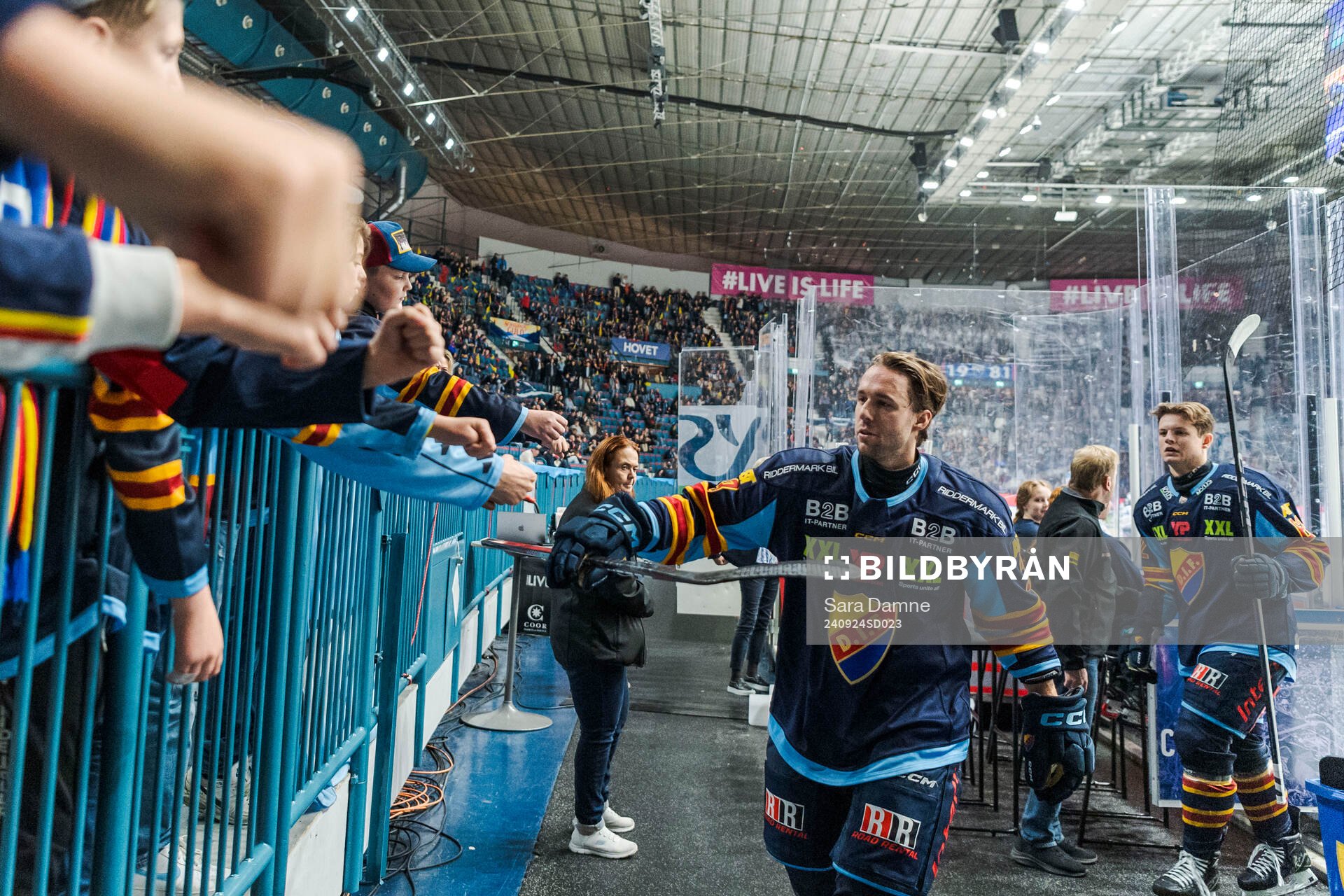 Djurgårdens August Berg och Hampus Larsson