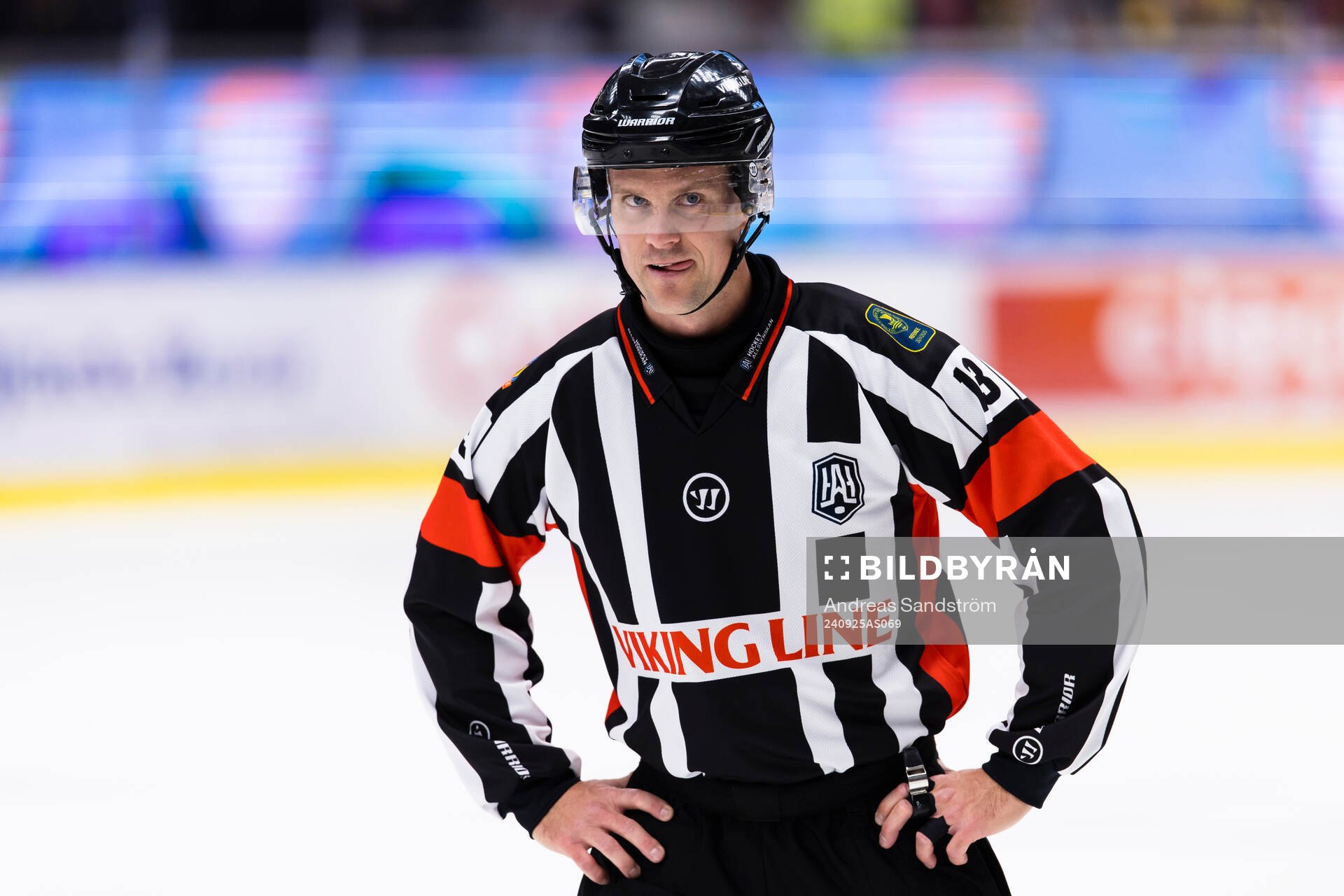 Domare Stefan Leijonklo