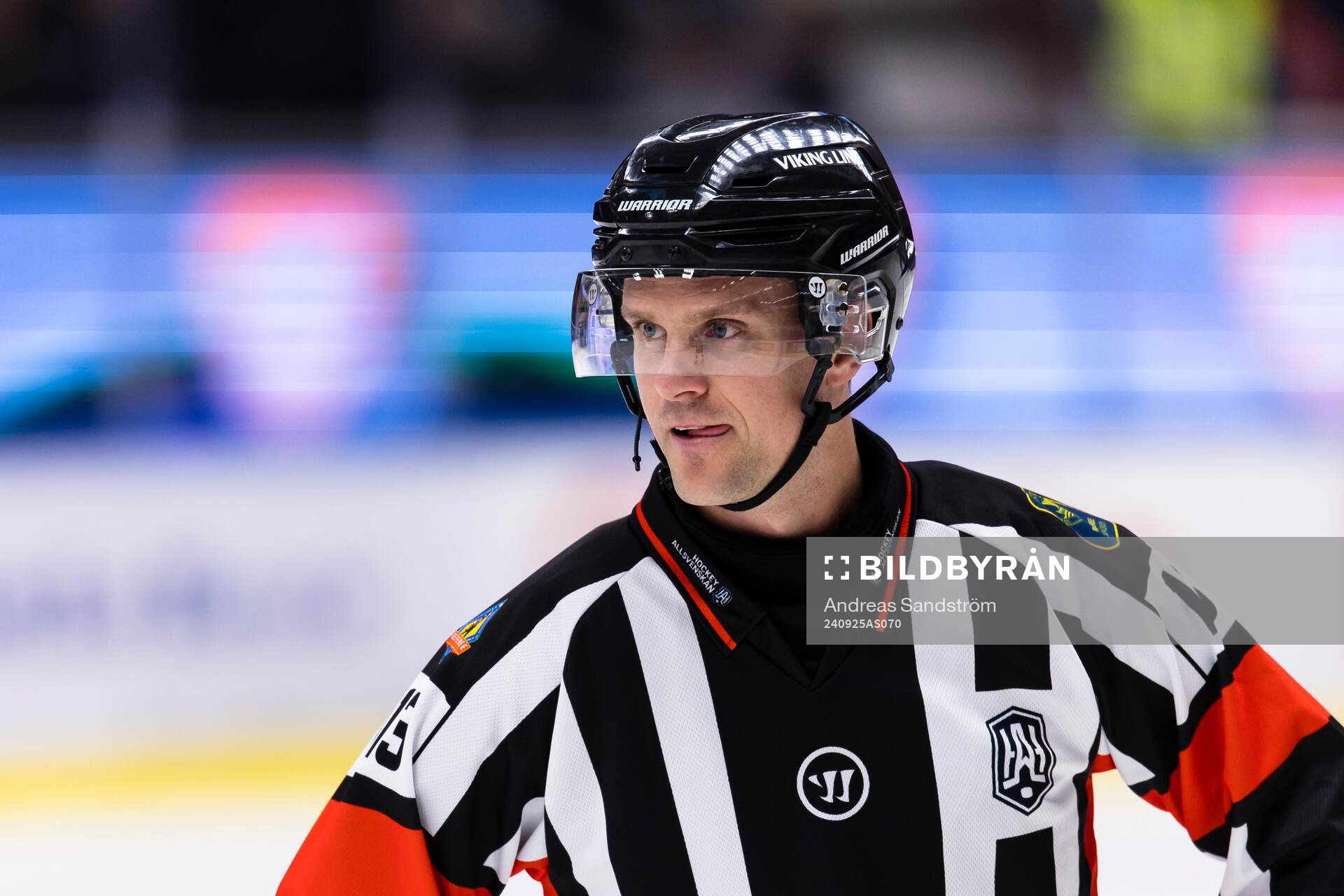 Domare Stefan Leijonklo