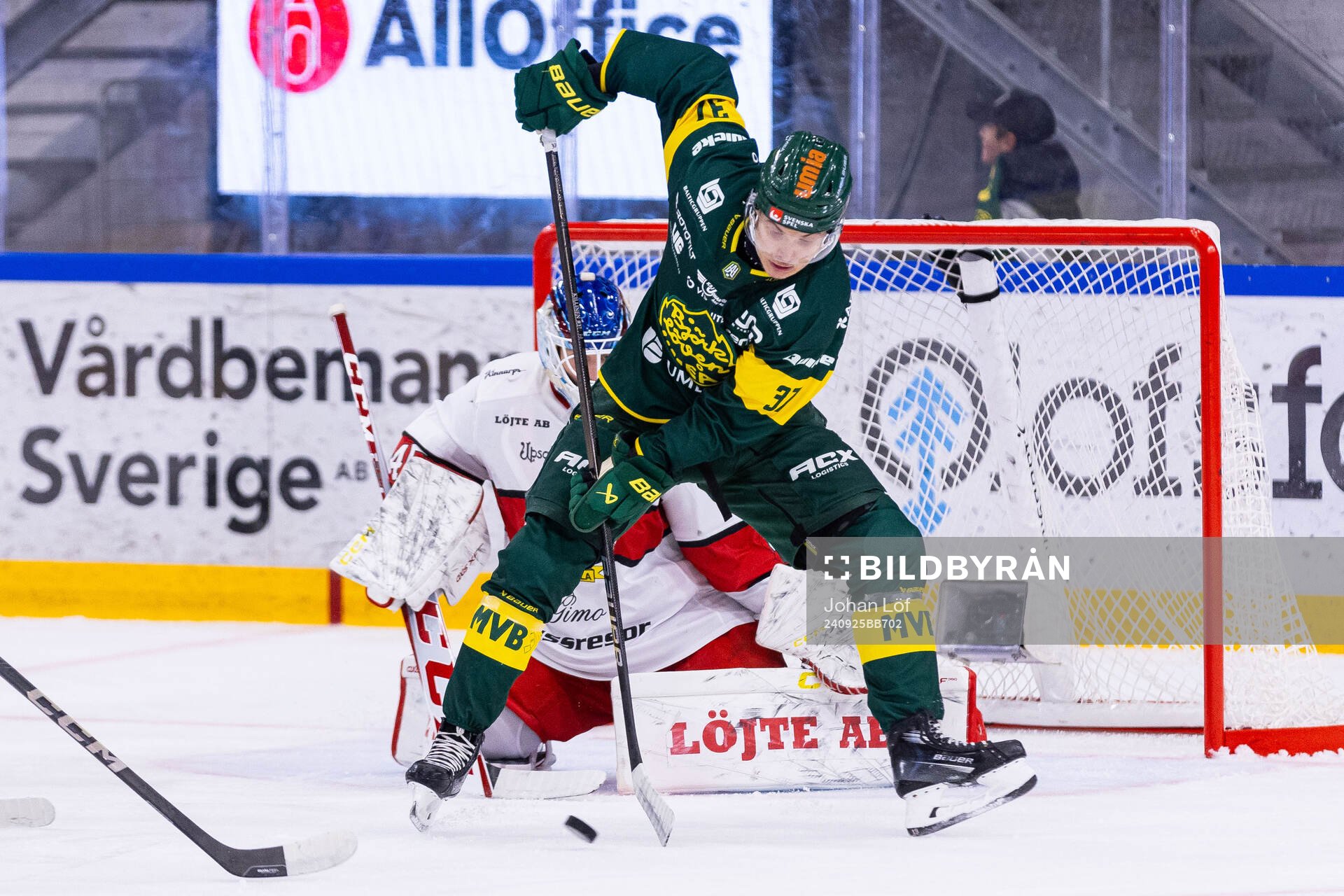 Björklövens Lenni Killinen