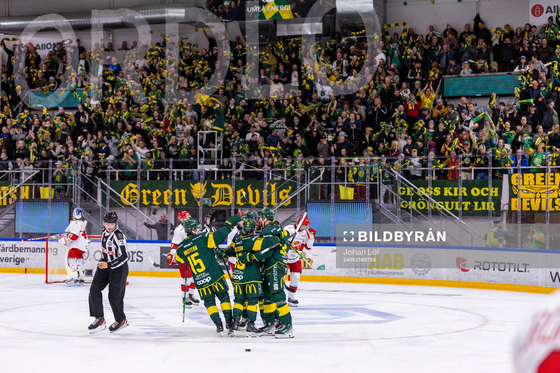 Björklöven jublar