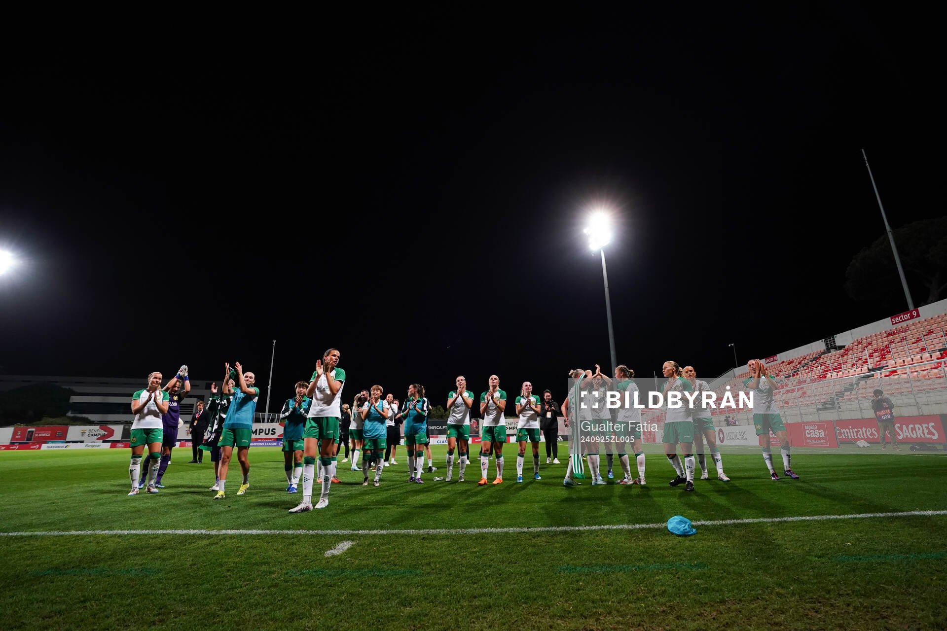 Hammarby celebrates
