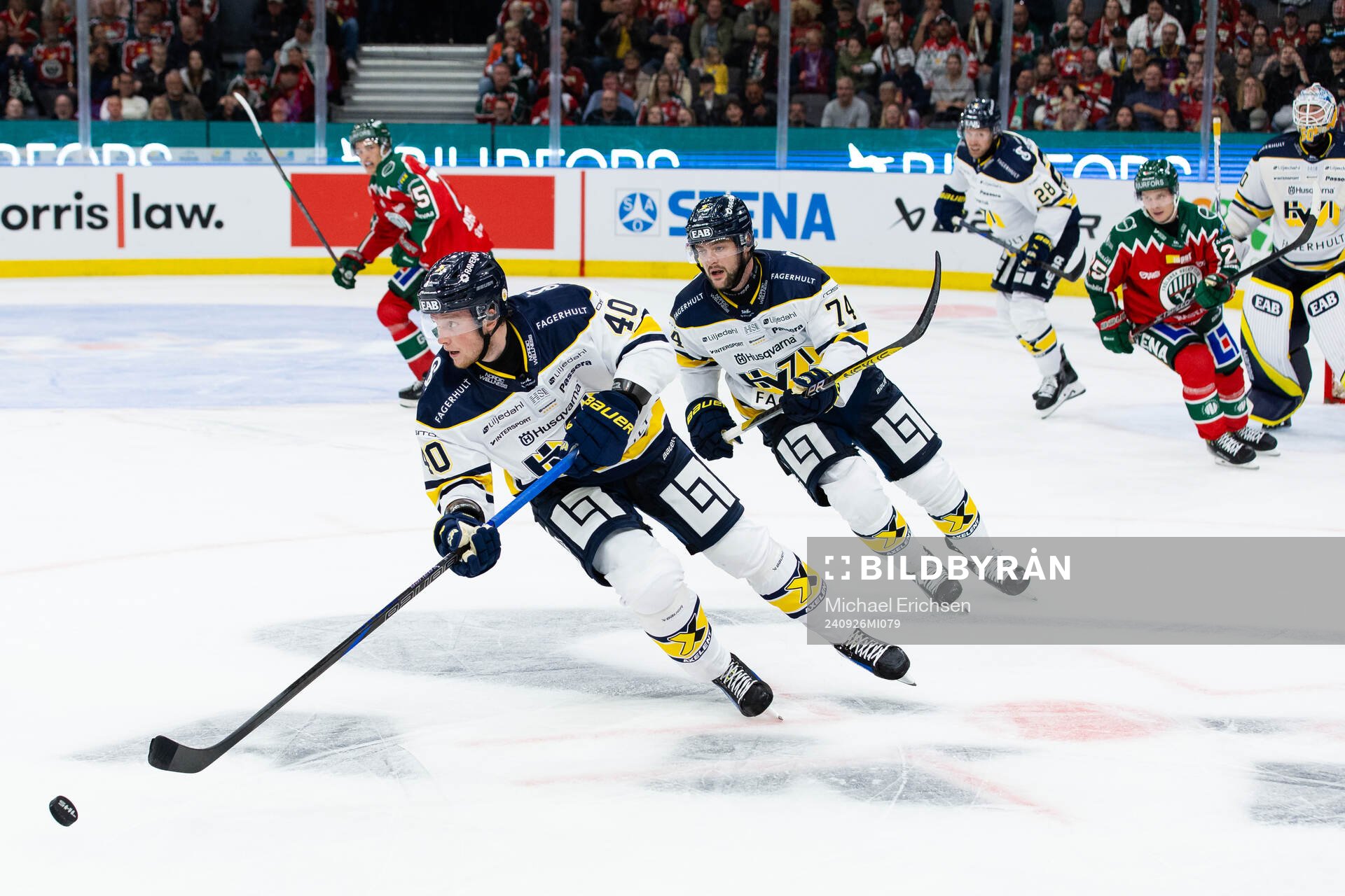 HV71s Oskar Stål-Lyrenäs