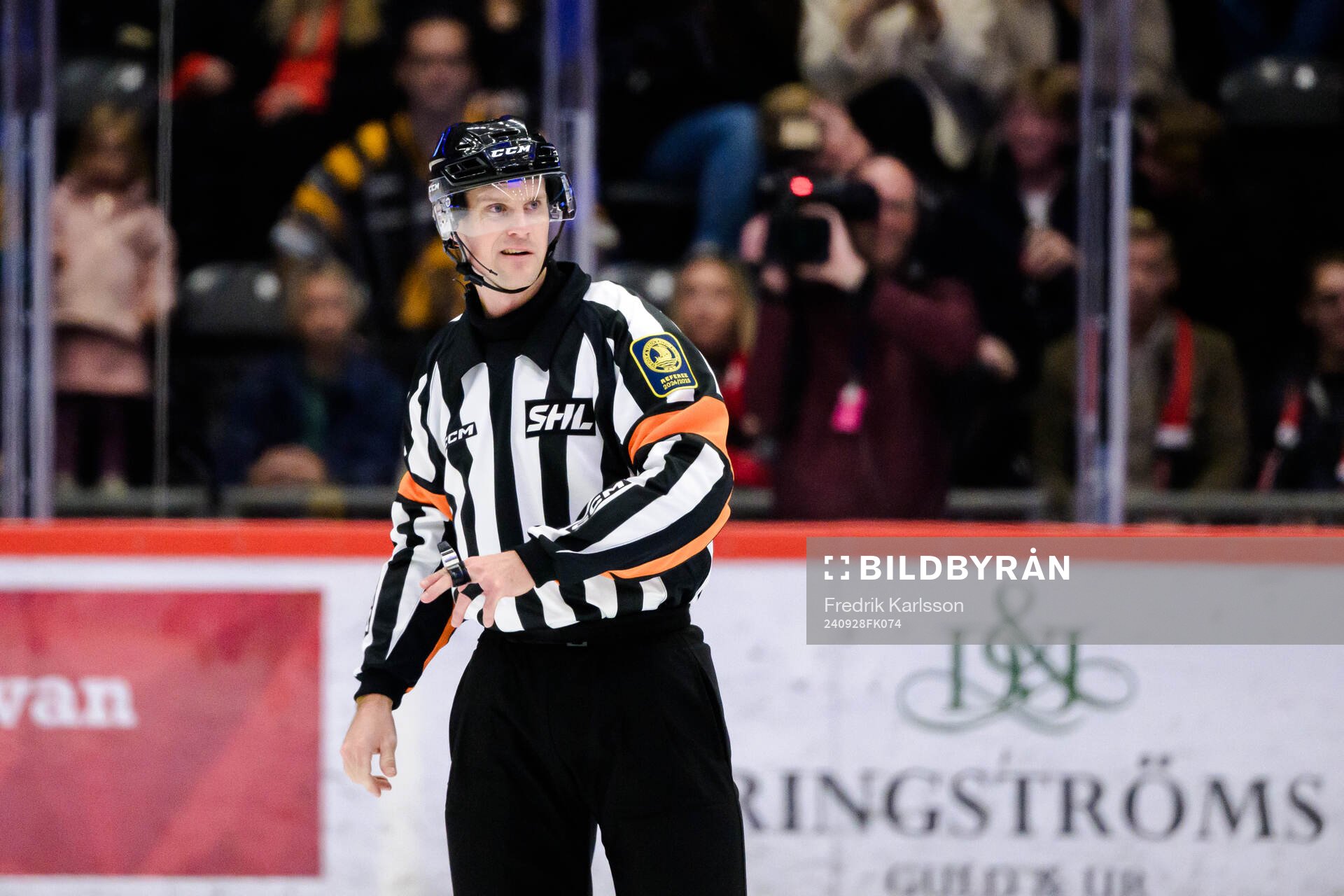 Domare Stefan Leijonklo
