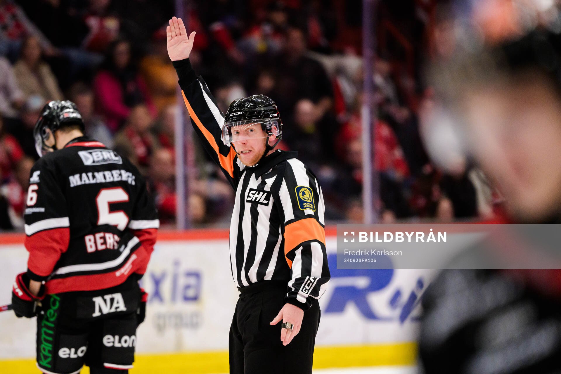 Domare Mikael Holm