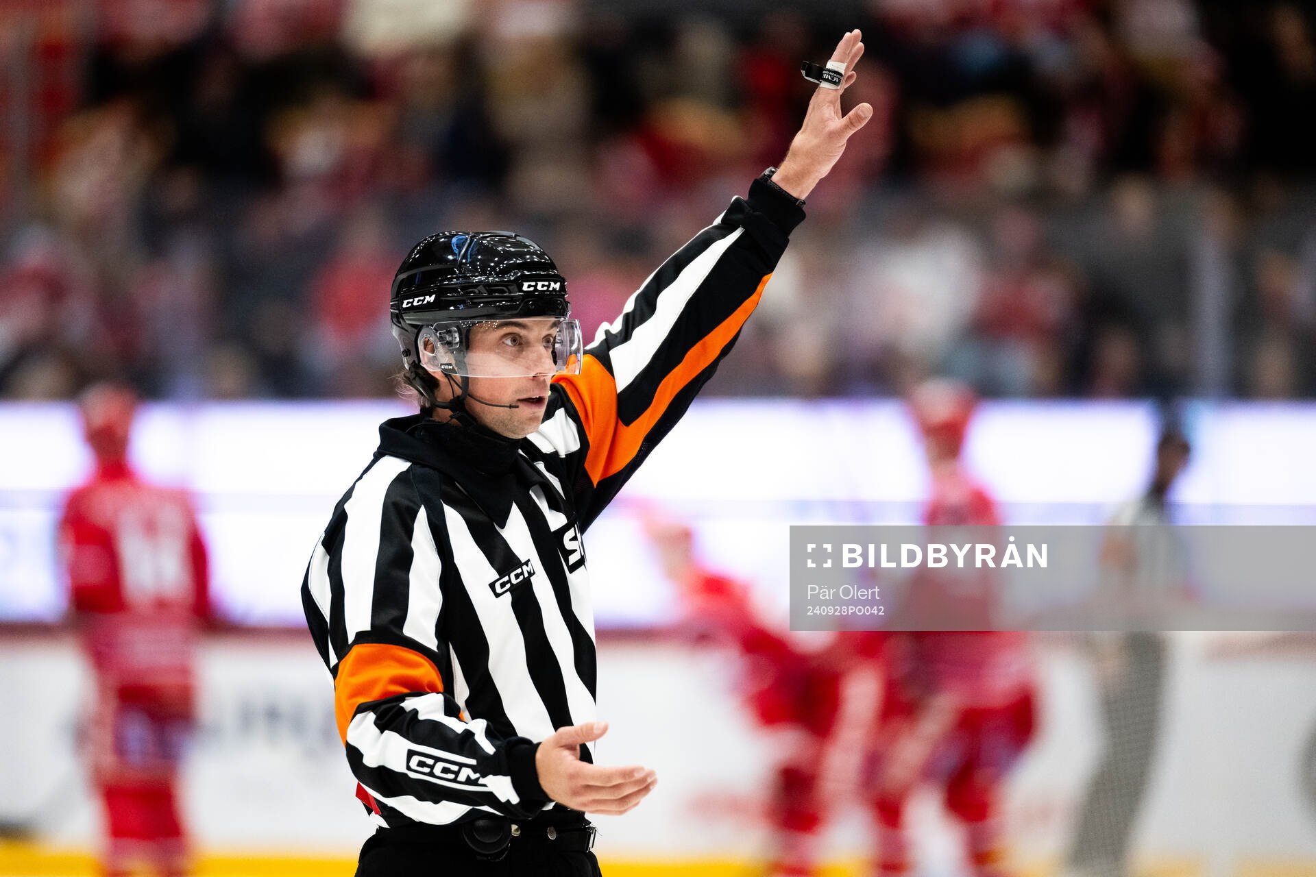 Domaren Johan Wedin