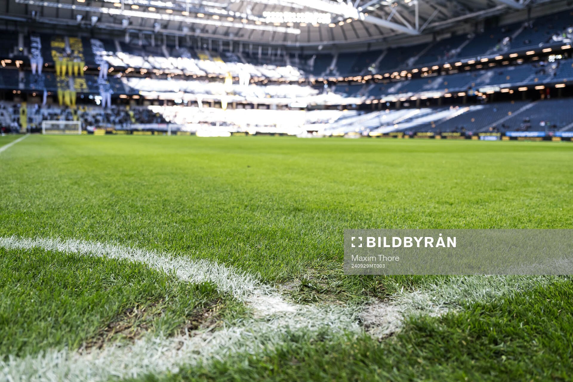 Gräset på Strawberry Arena