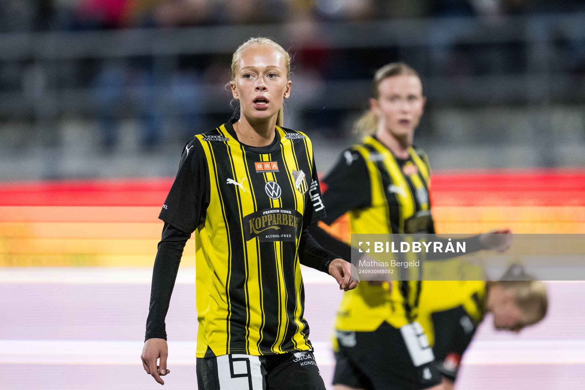 Häckens Lisa Löwing