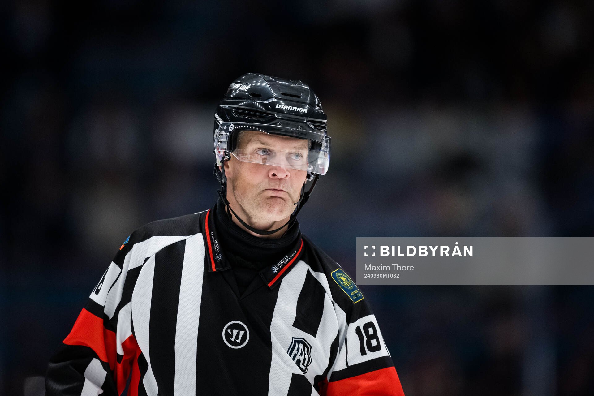 Domare Mikael Nord