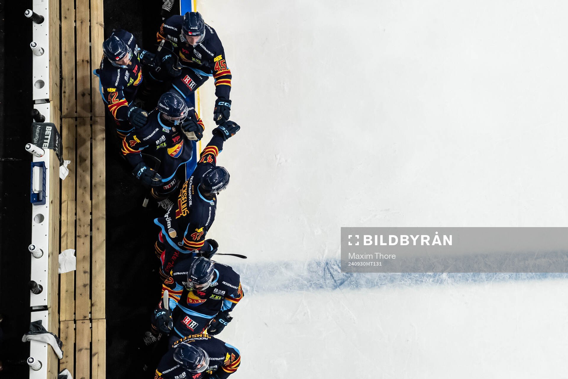 Djurgårdens bänk jublar