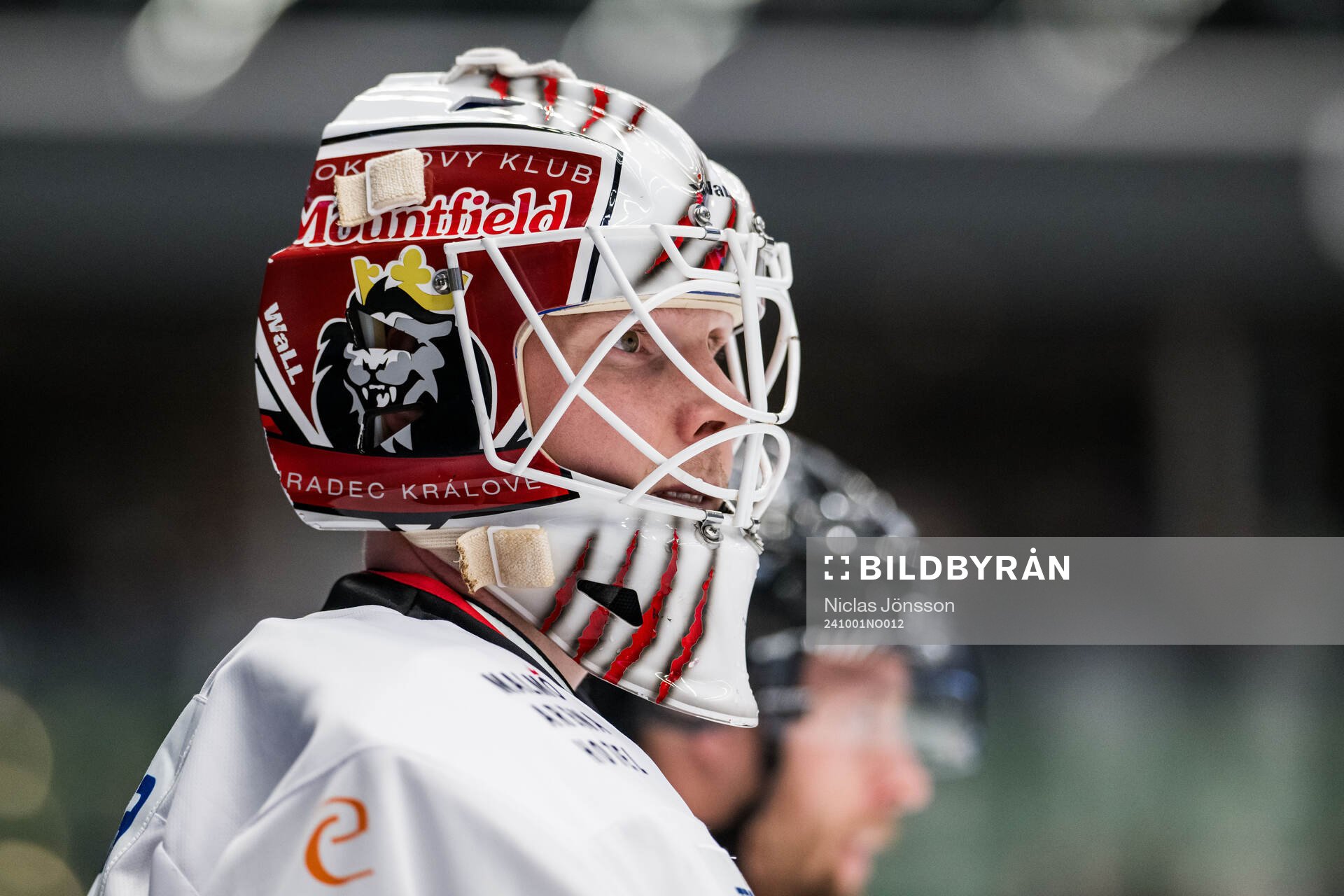 Malmö Redhawks målvakt Henri Kiviaho