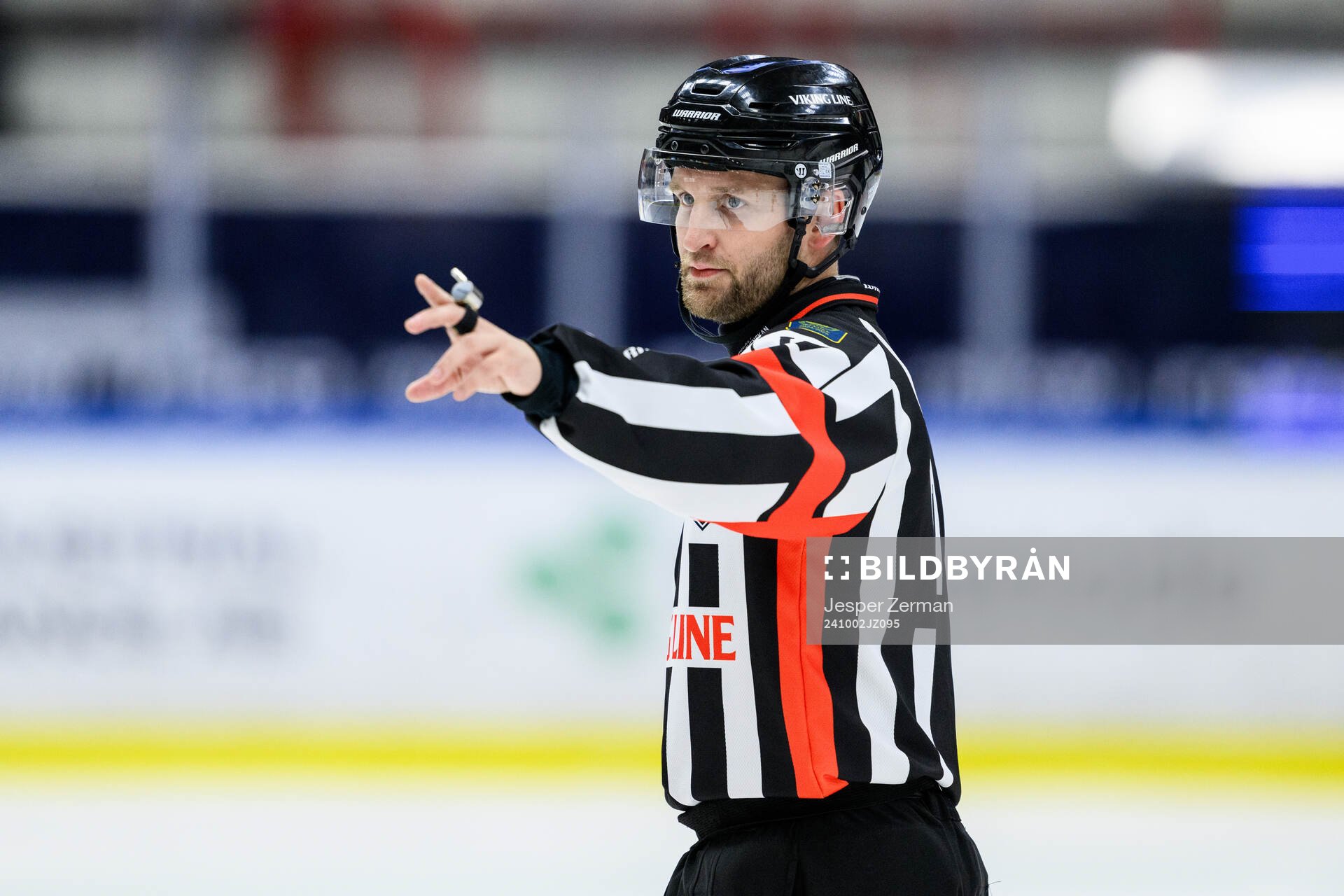 Domare Niklas Johansson