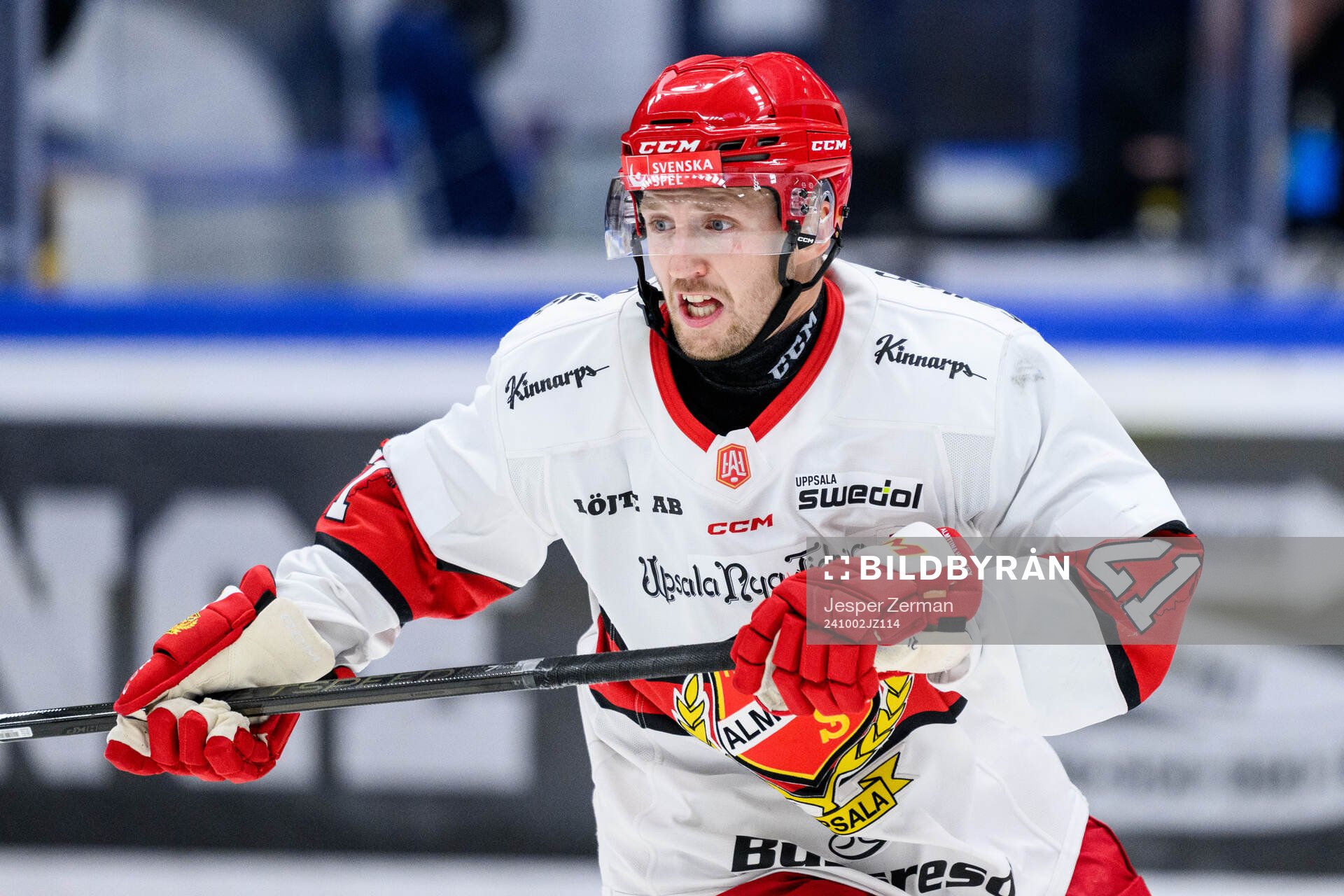 Almtunas William Eriksson