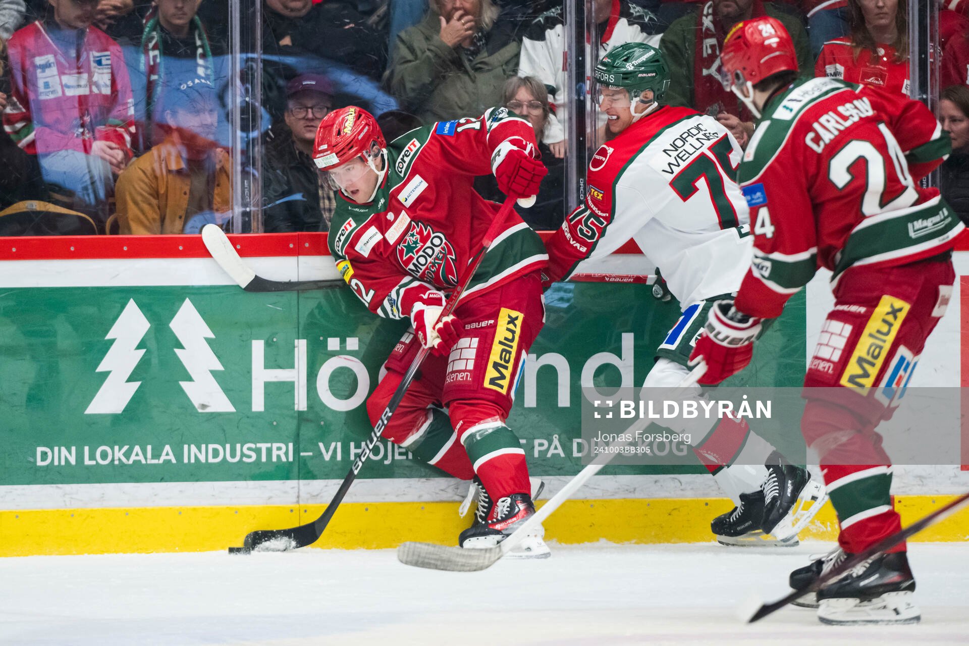 MoDos Oscar Pettersson