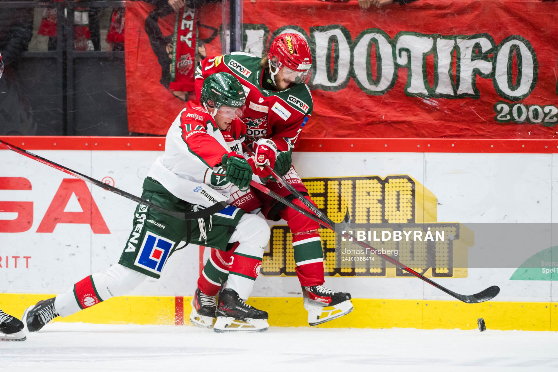 Frölundas Max Friberg och MoDos Ludwig Byström