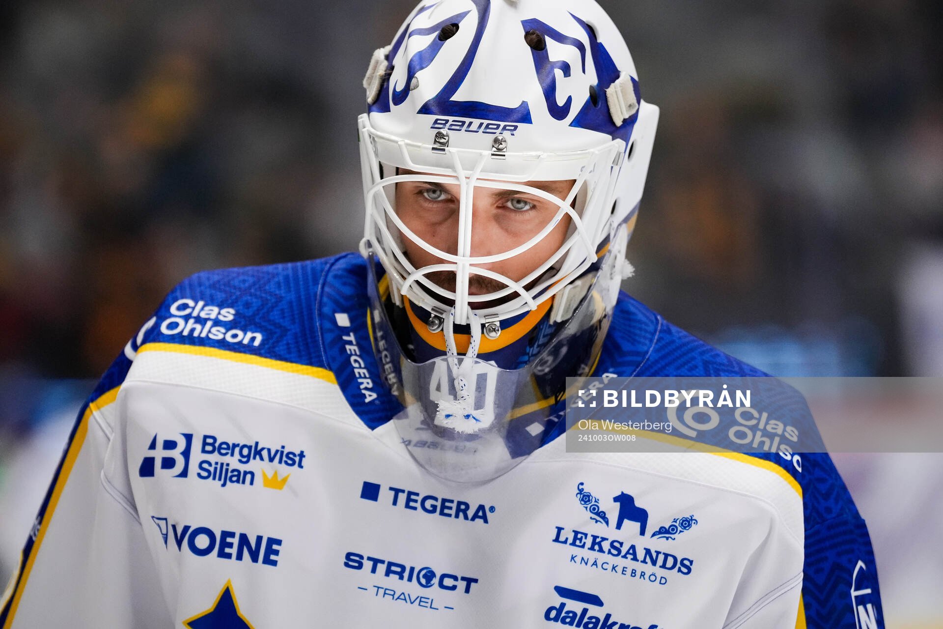 Leksands målvakt Mantas Armalis