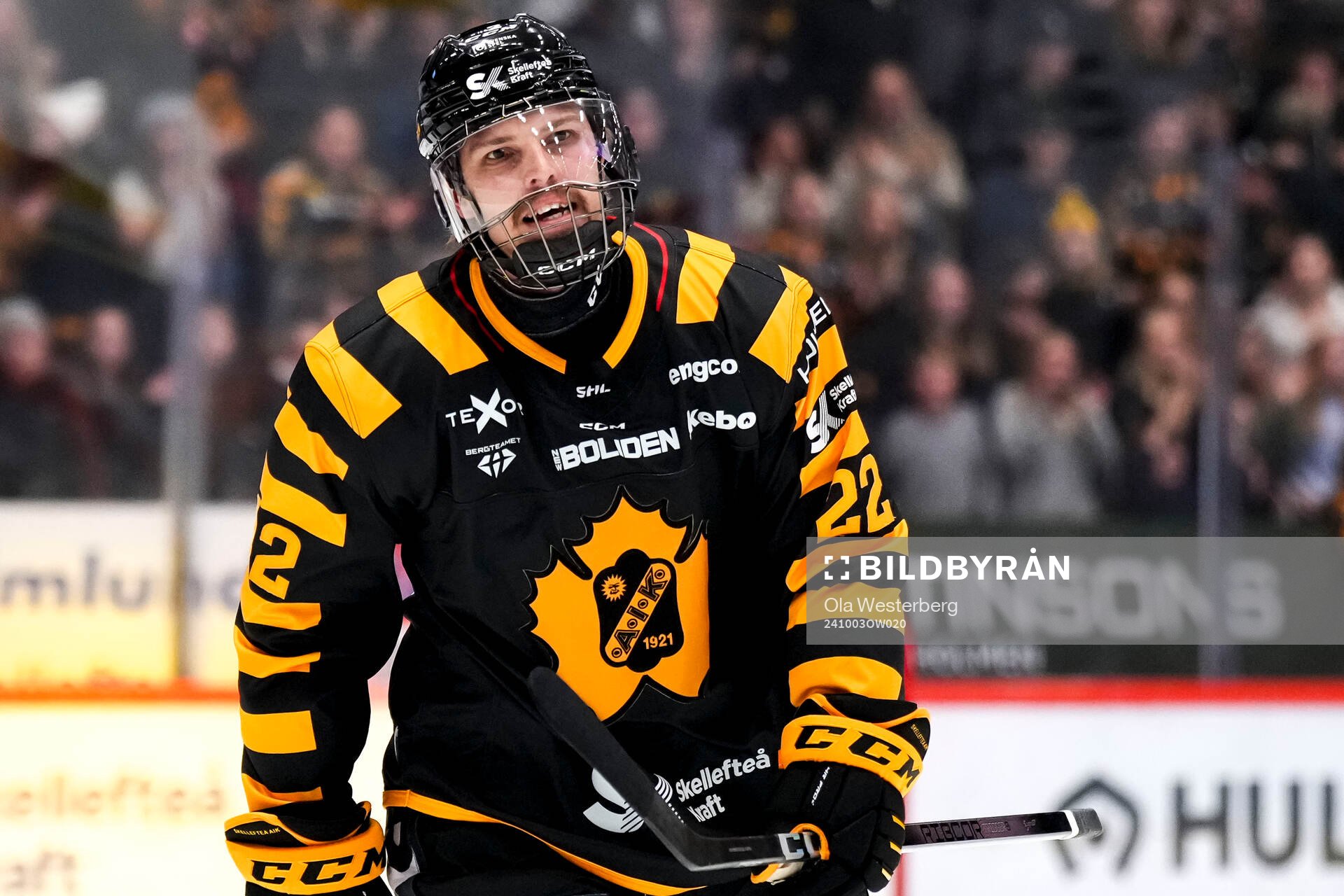 Leksands Lukas Vejdemo jublar