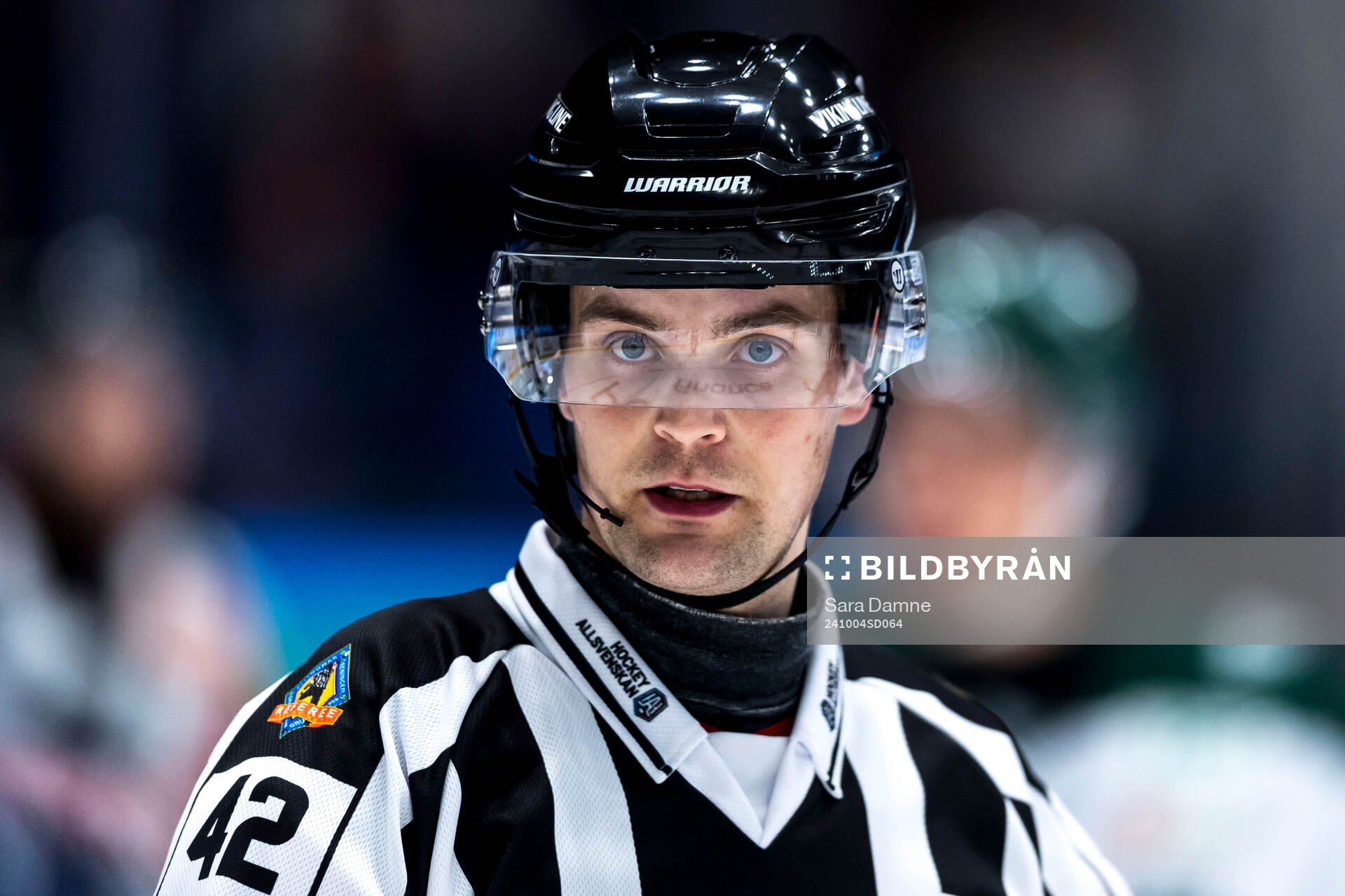 Linjedomare Albin Värmhed