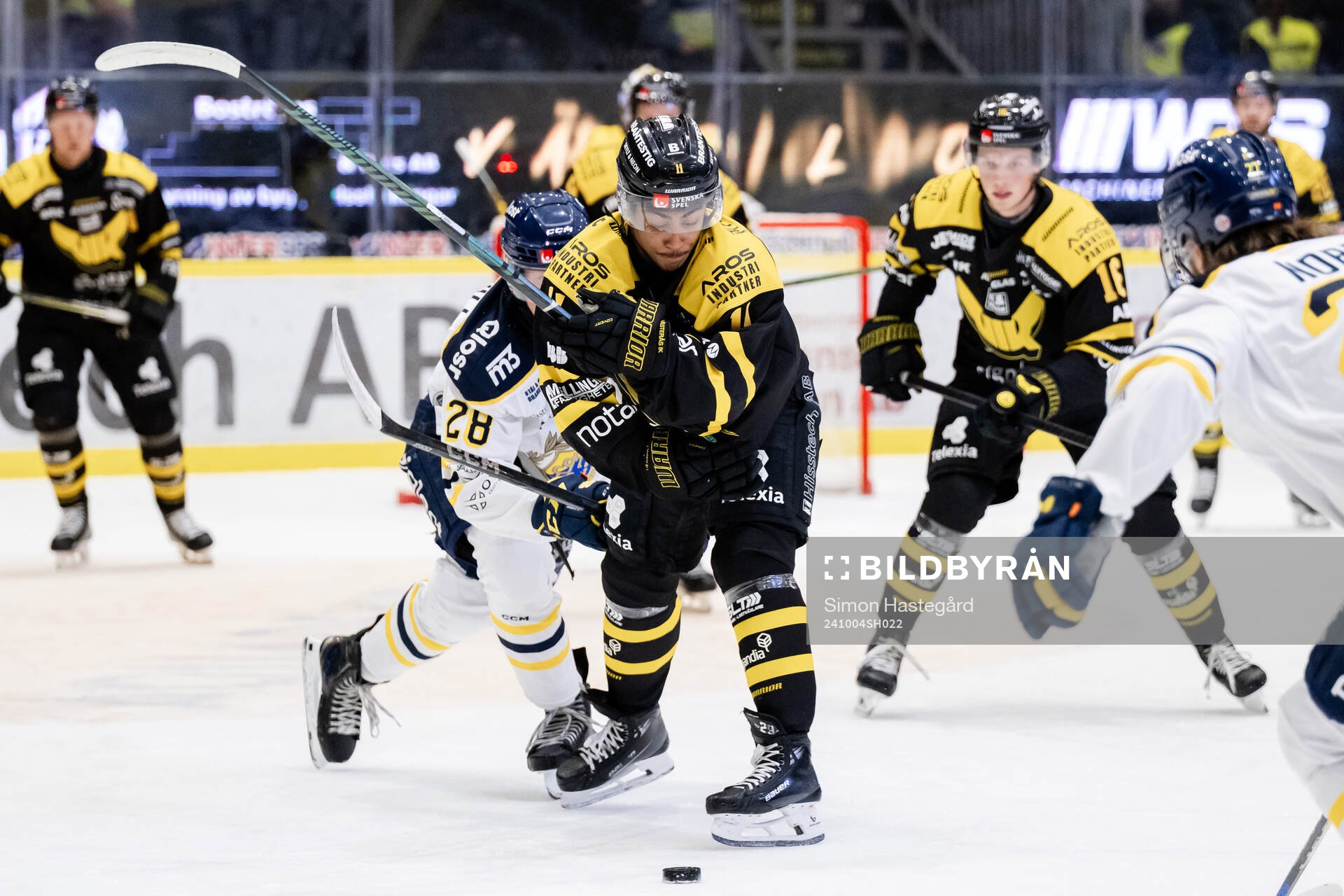 Västerås Noah Wolf