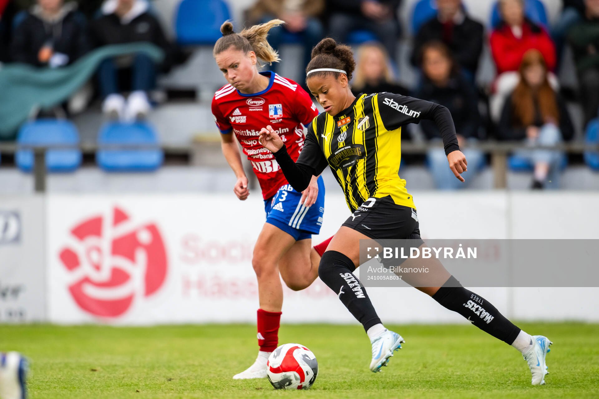 Häckens Felicia Schröder