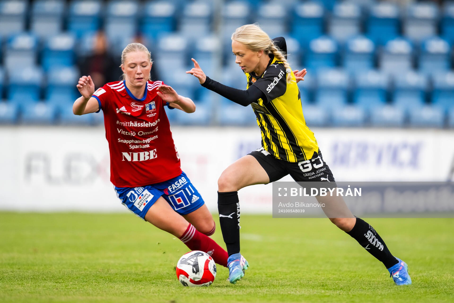 Häckens Lisa Löwing